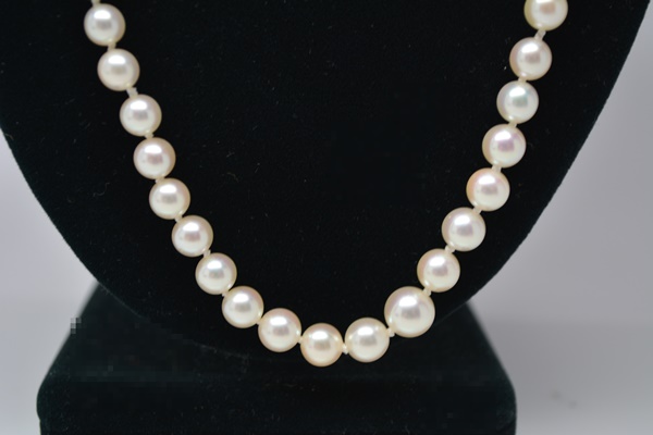 Cultured Pearl Necklace With 14K Yellow Gold Clasp