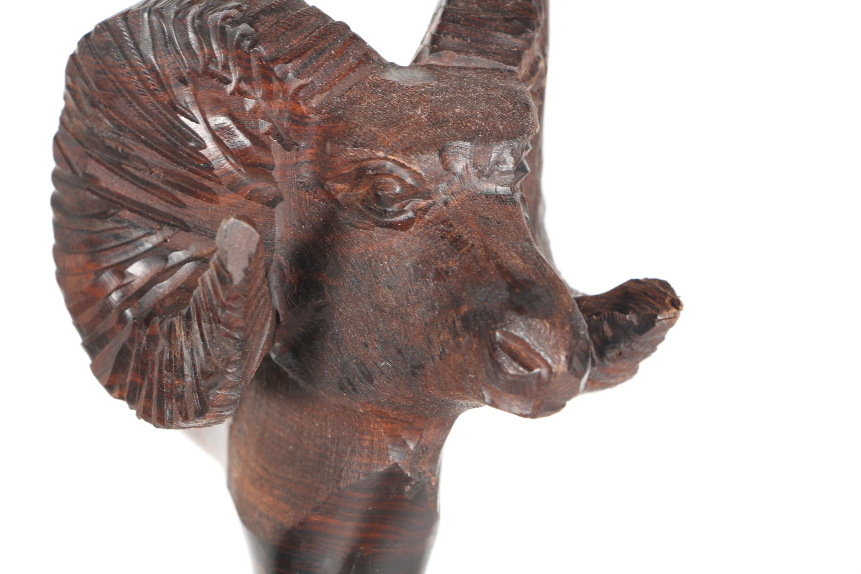 Wooden and Metallic Canes Including Sword Cane