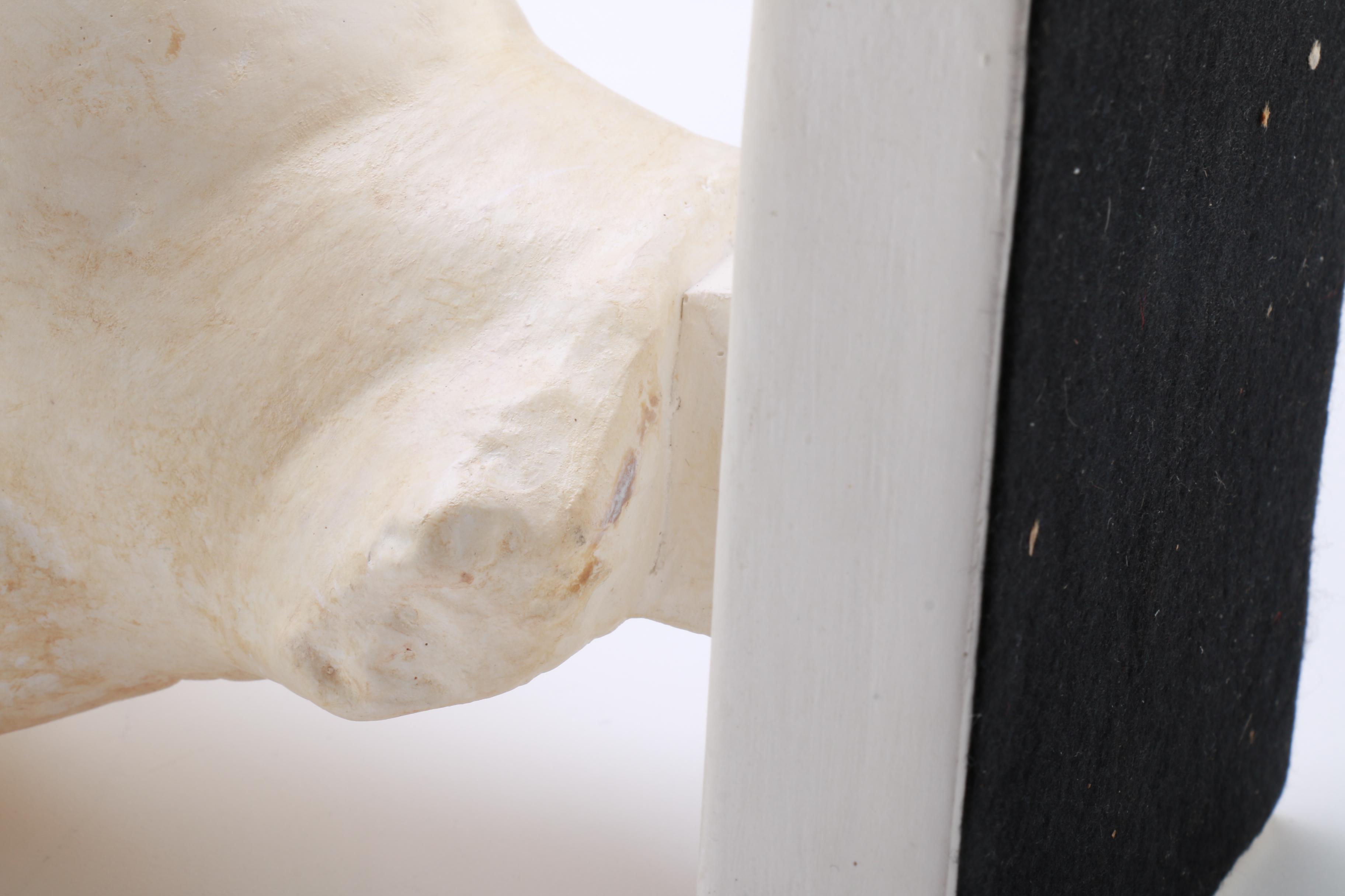 Reproduction White Resin Head Bust