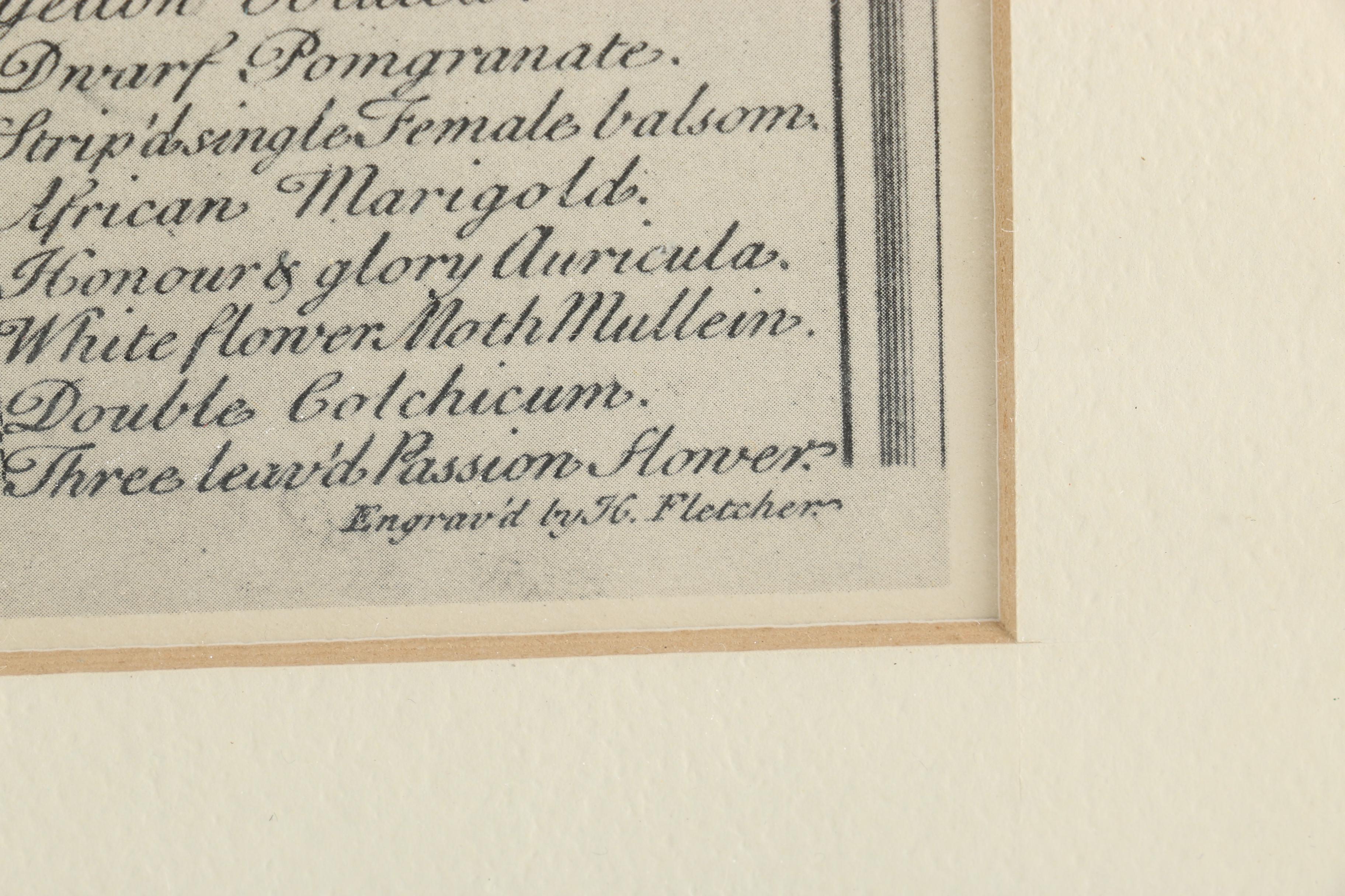 After H. Fletcher Offset Lithograph "September"