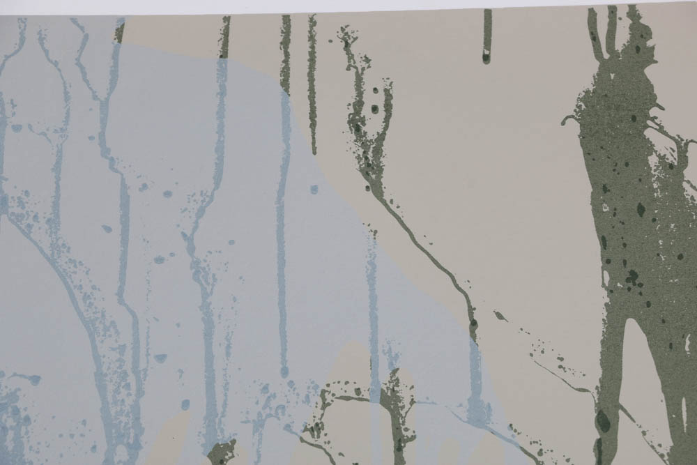 Larry Poons Signed Limited Edition Abstract Serigraph