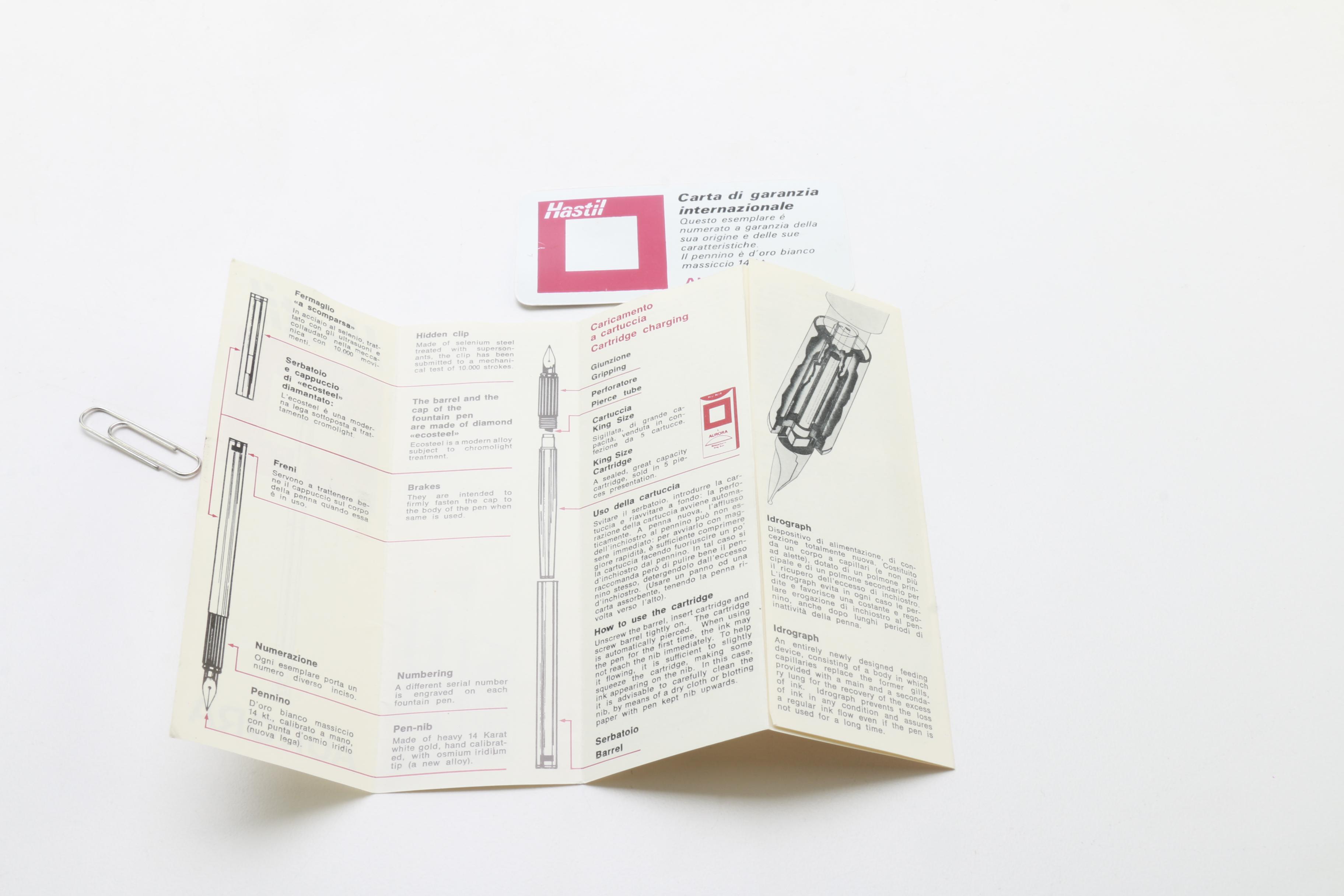 Aurora Hastil Fountain Pen