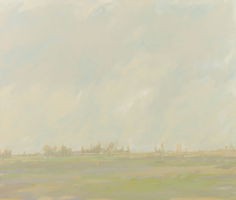 Dennis Puhalla Oil Painting on Canvas "Lowland 2 South Carolina"