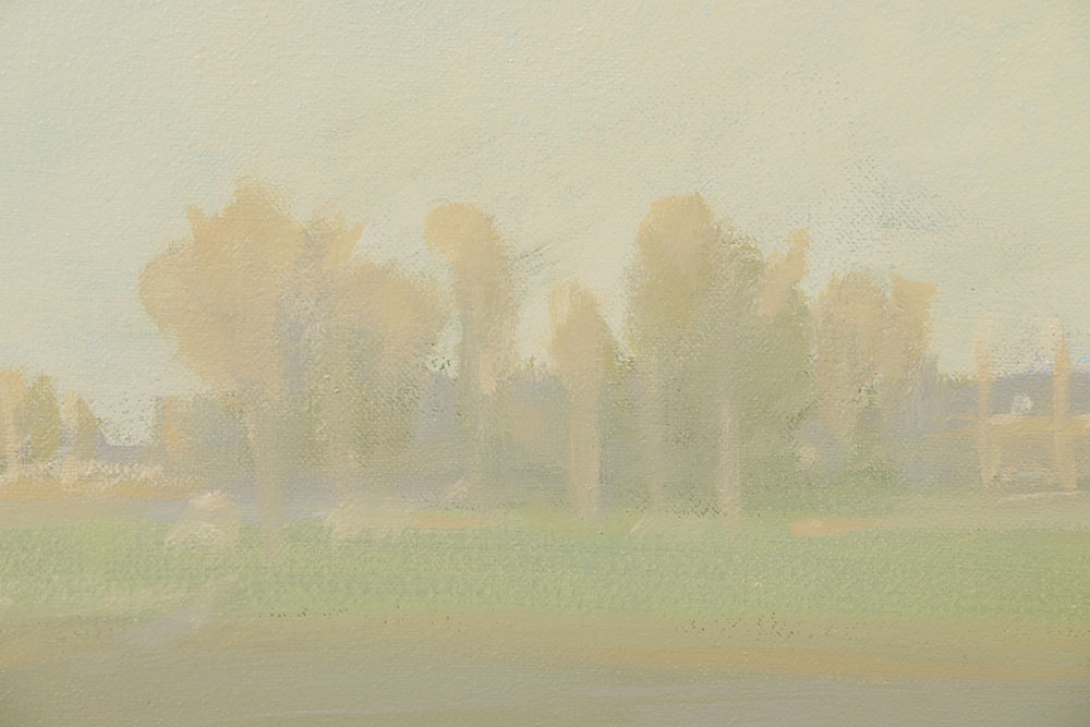 Dennis Puhalla Oil Painting on Canvas "Lowland 2 South Carolina"