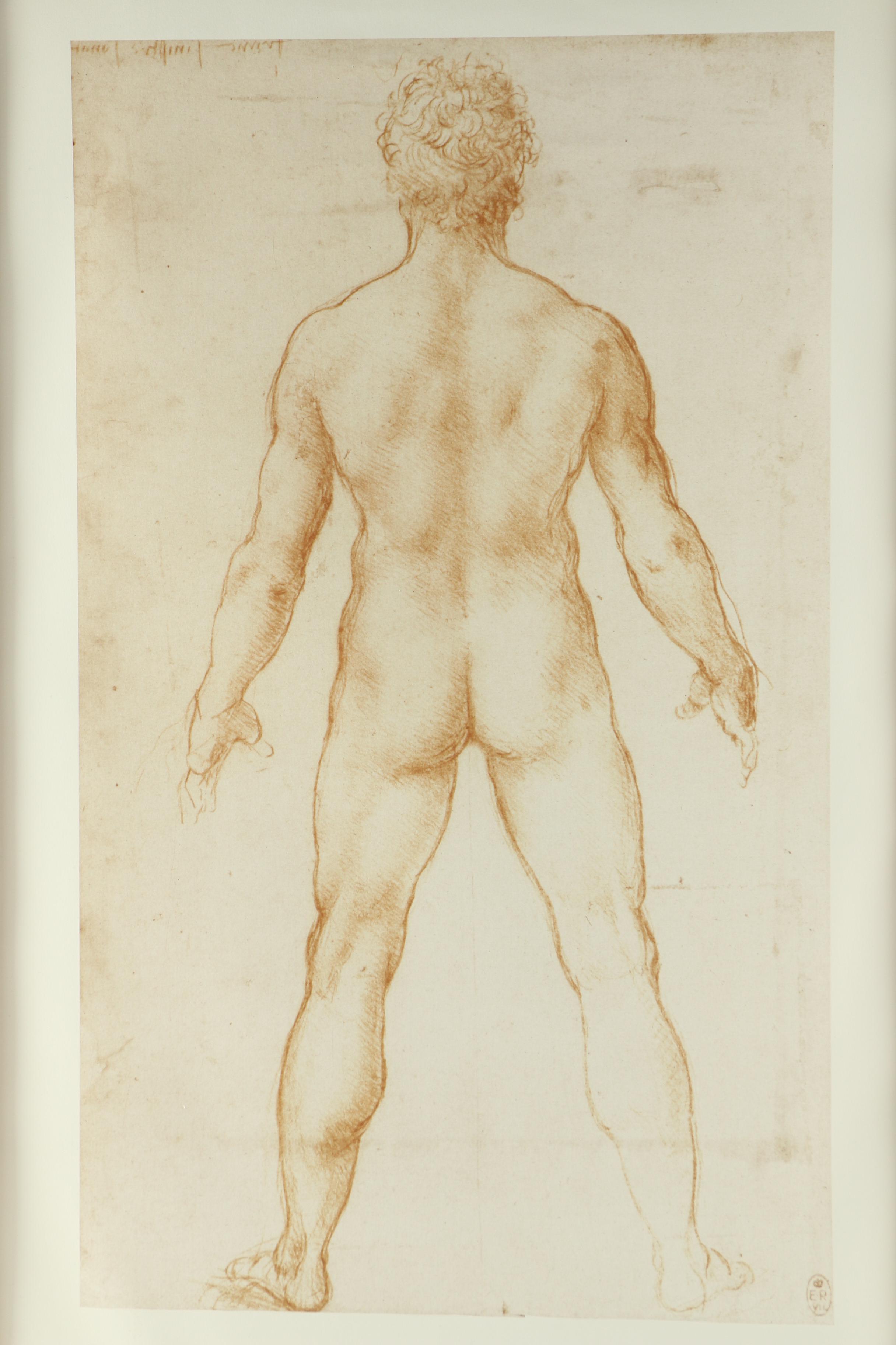 Offset Lithograph Exhibition Poster for "Leonardo Da Vinci: Anatomical Drawings From the Royal Library, Windsor Castle"