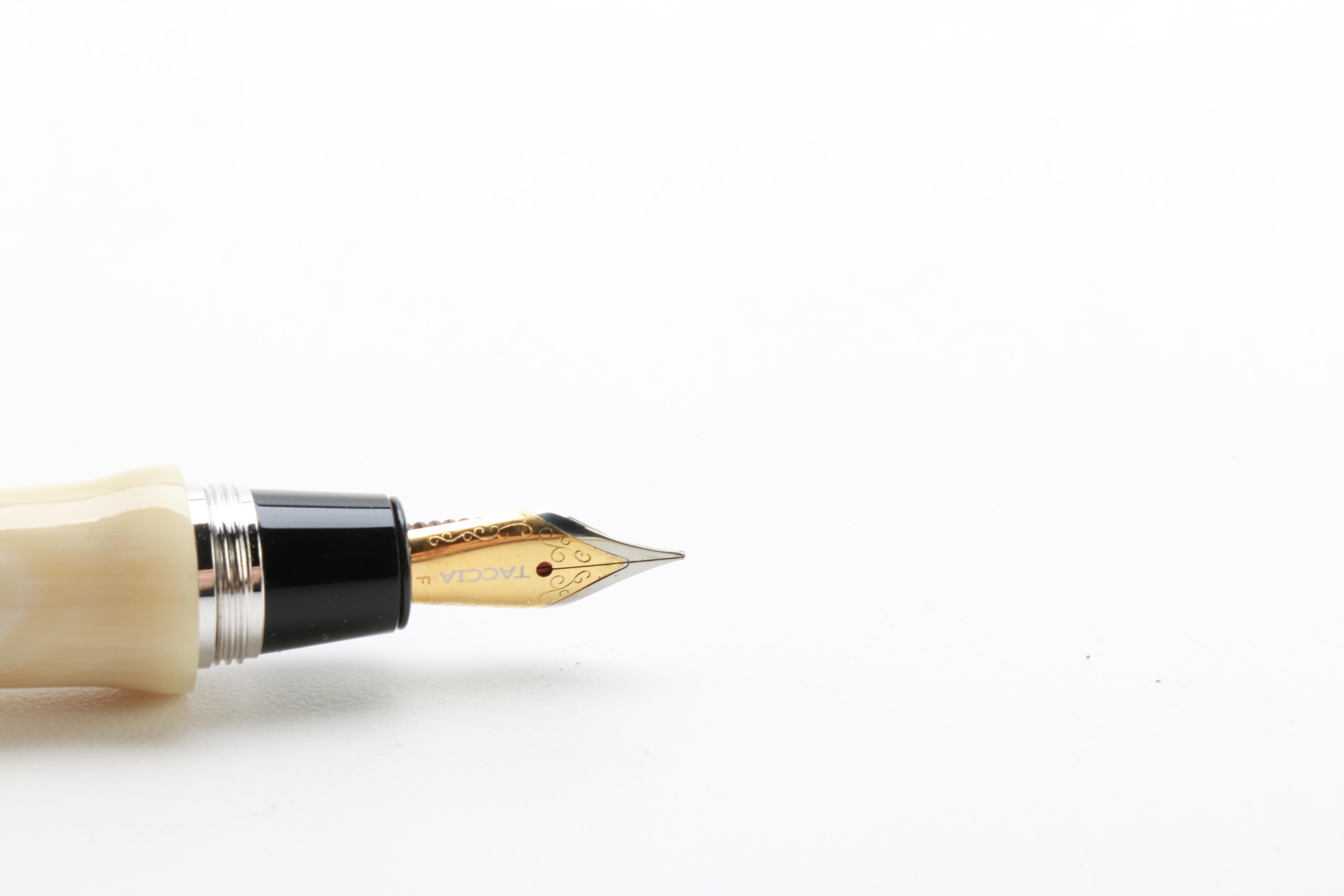 Taccia Stick Design Fountain Pen With Case and Clip