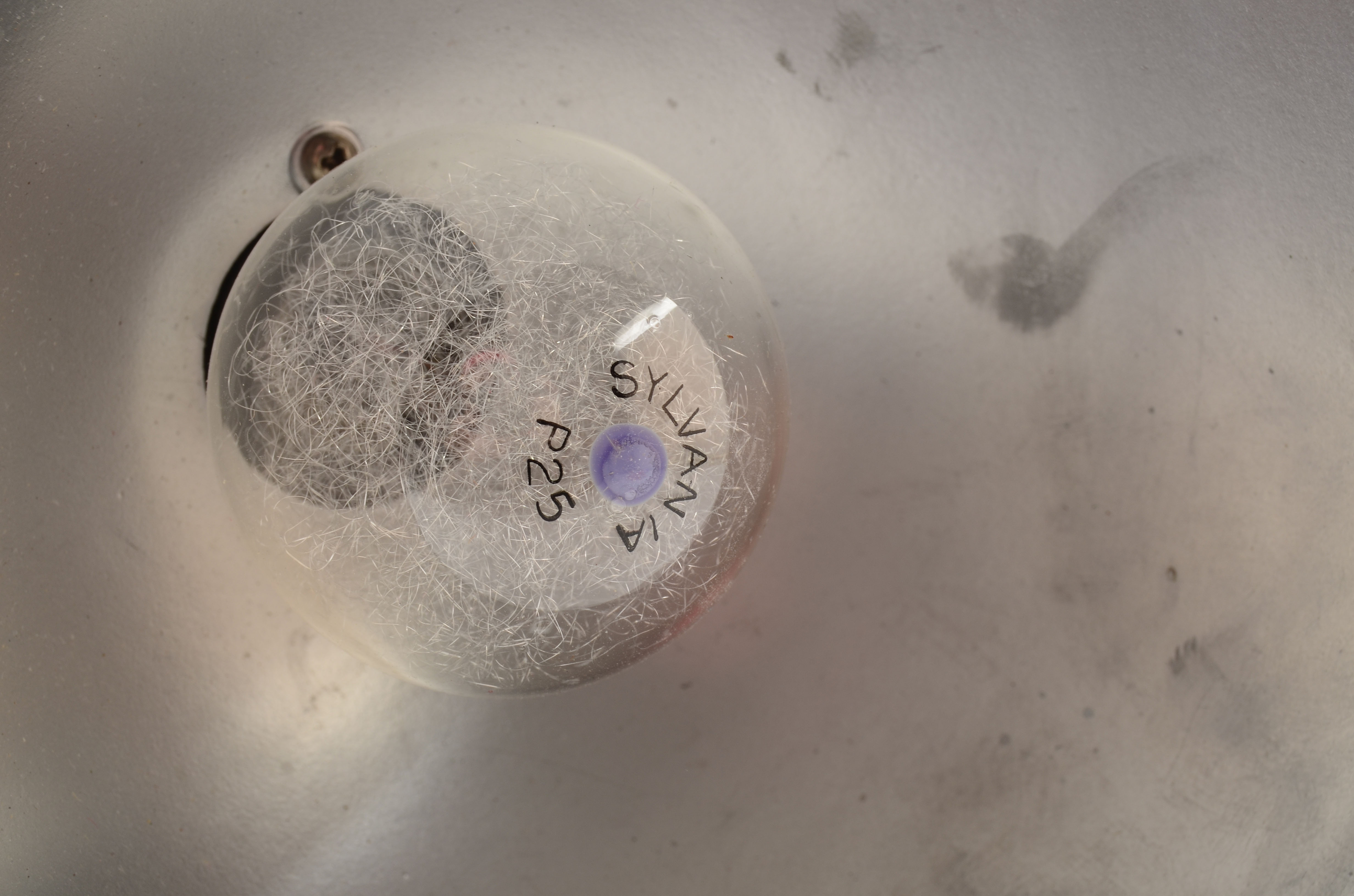 Ansco Readyflash Viewfinder-type Camera