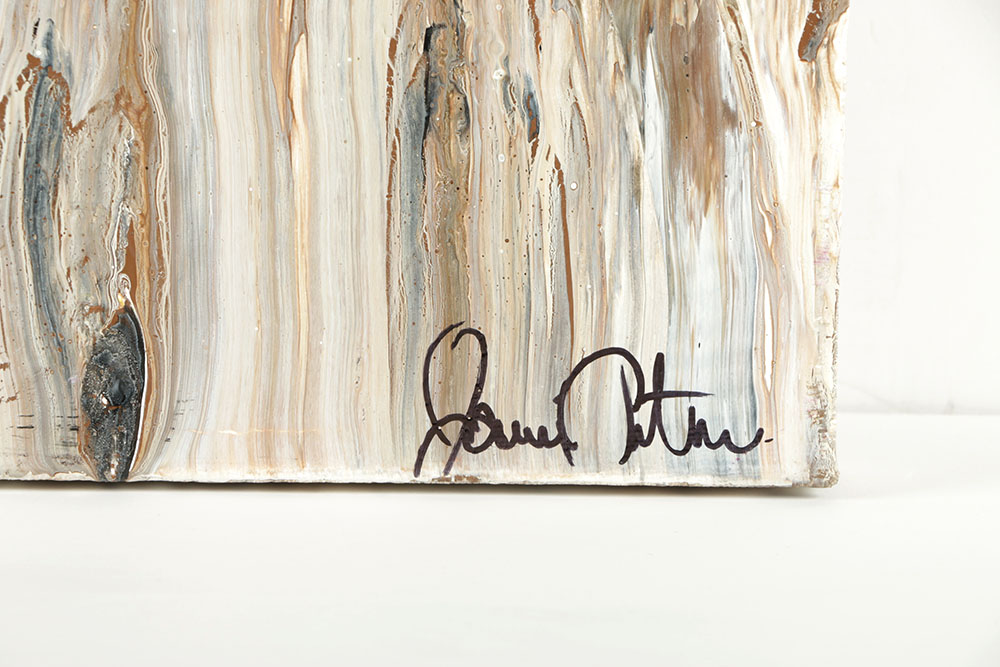 Jamie Anton Acrylic Painting on Canvas "Stepping Into the Shadows"