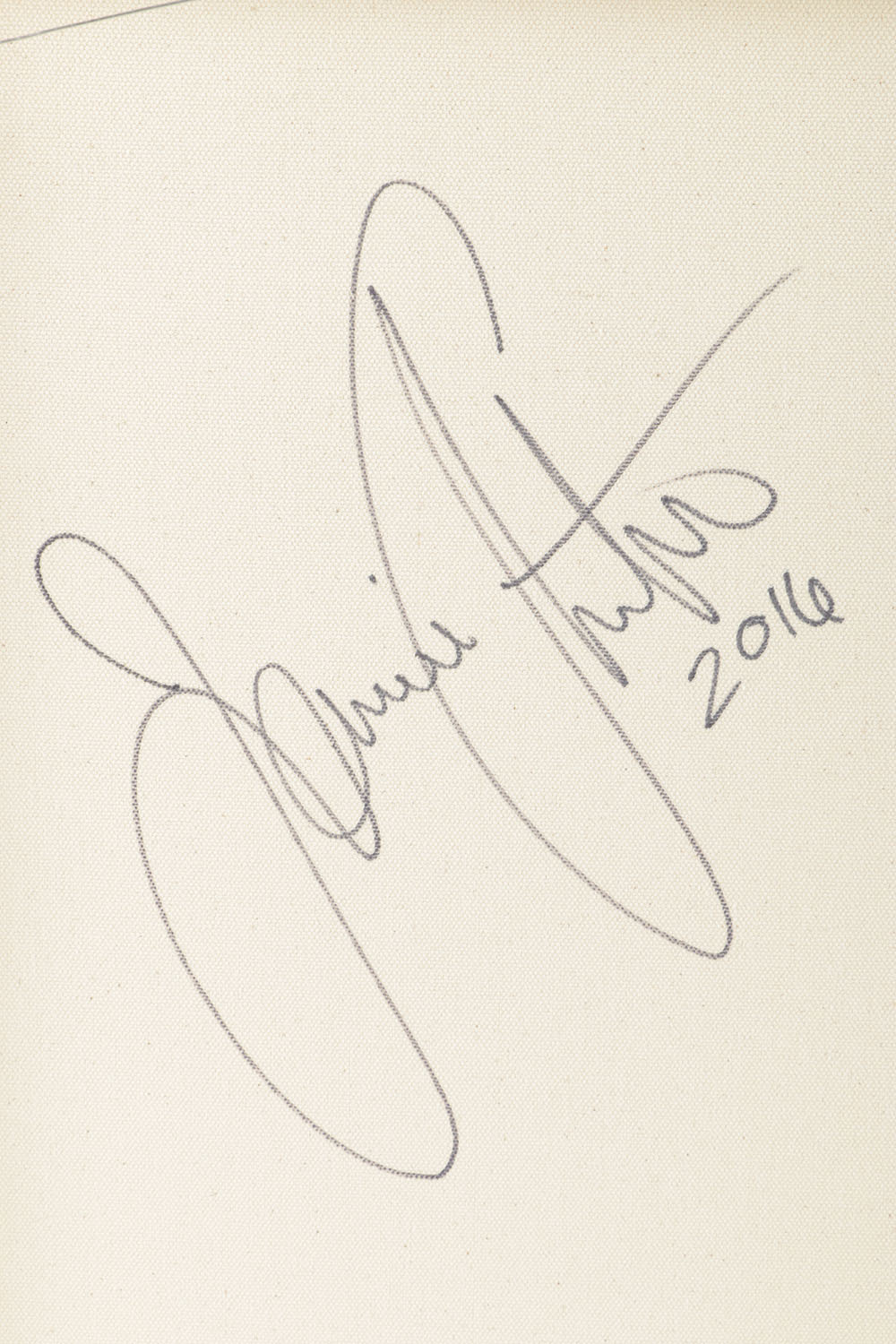 Jamie Anton Acrylic Painting on Canvas "Stepping Into the Shadows"