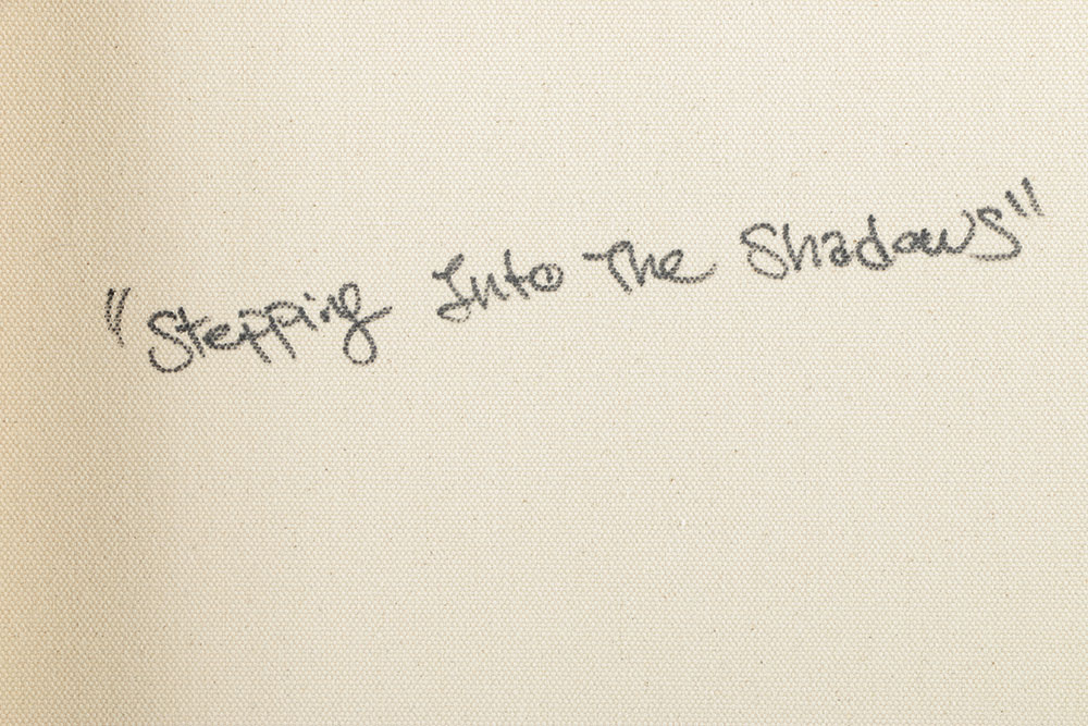 Jamie Anton Acrylic Painting on Canvas "Stepping Into the Shadows"