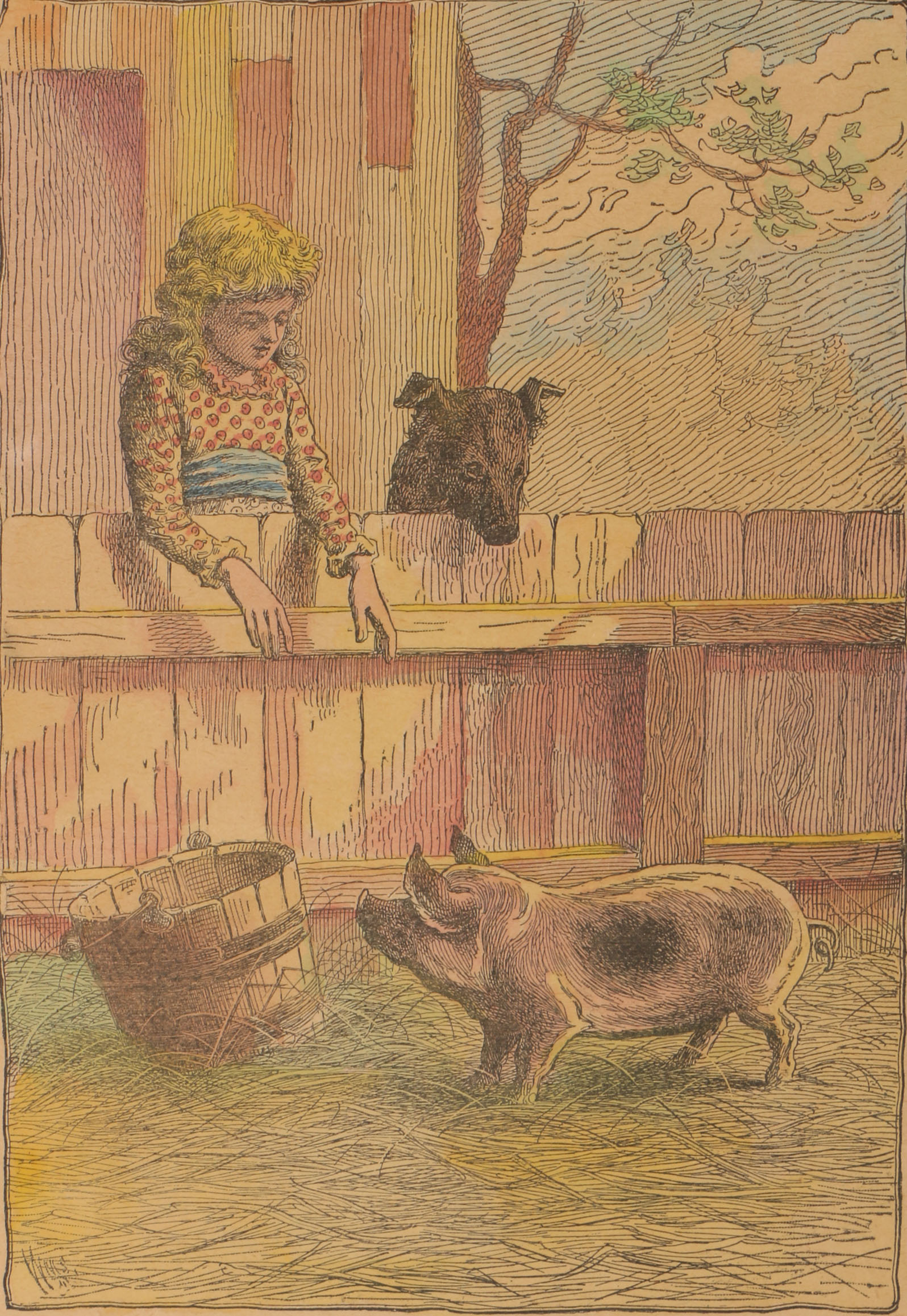 Mid to Late 19th Century Hand-Colored Lithographs