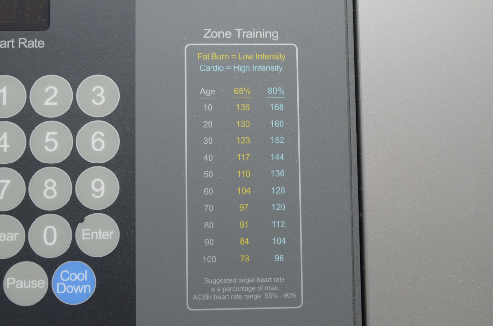 Life Fitness "T9i" Treadmill