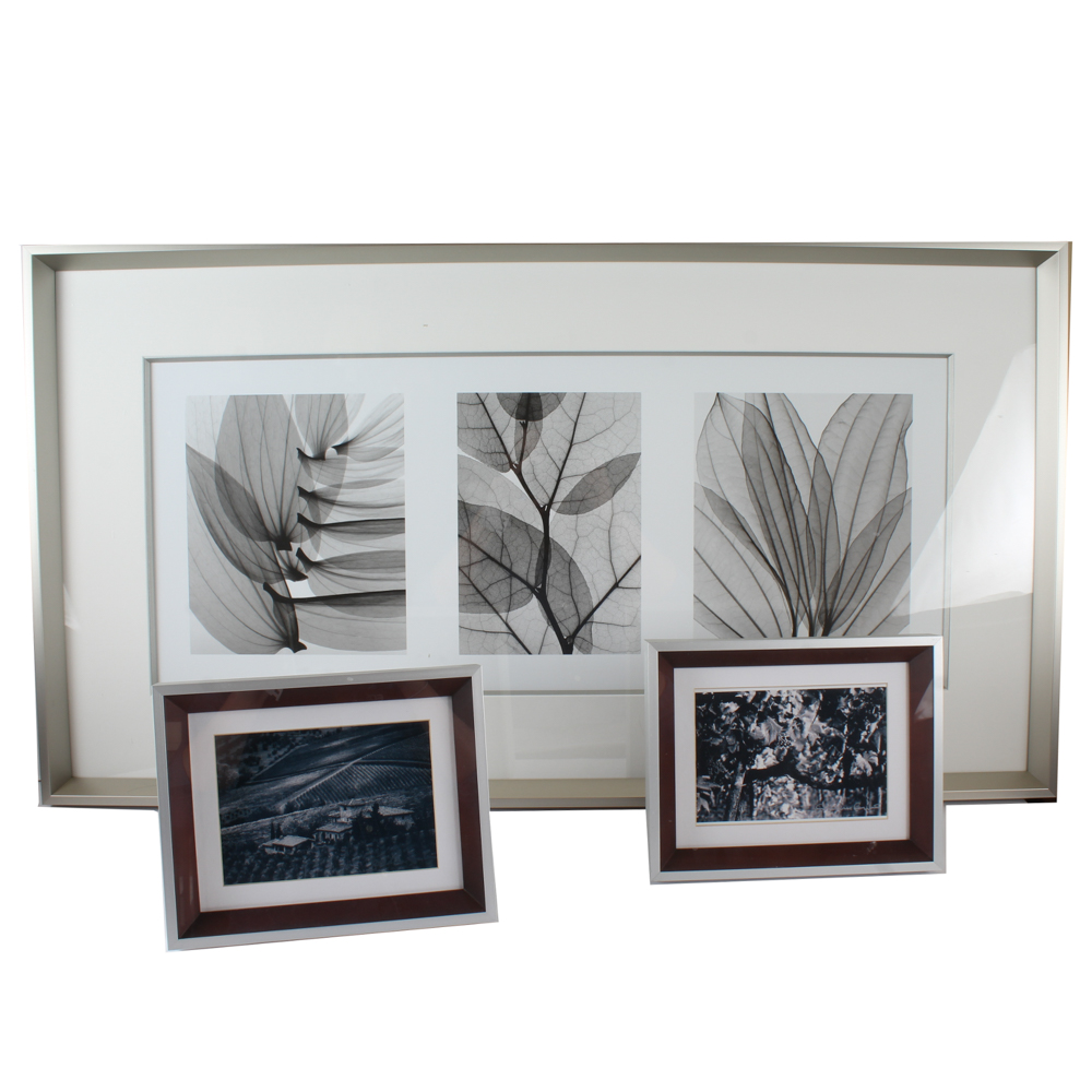 Three Piece Framed Black and White Art