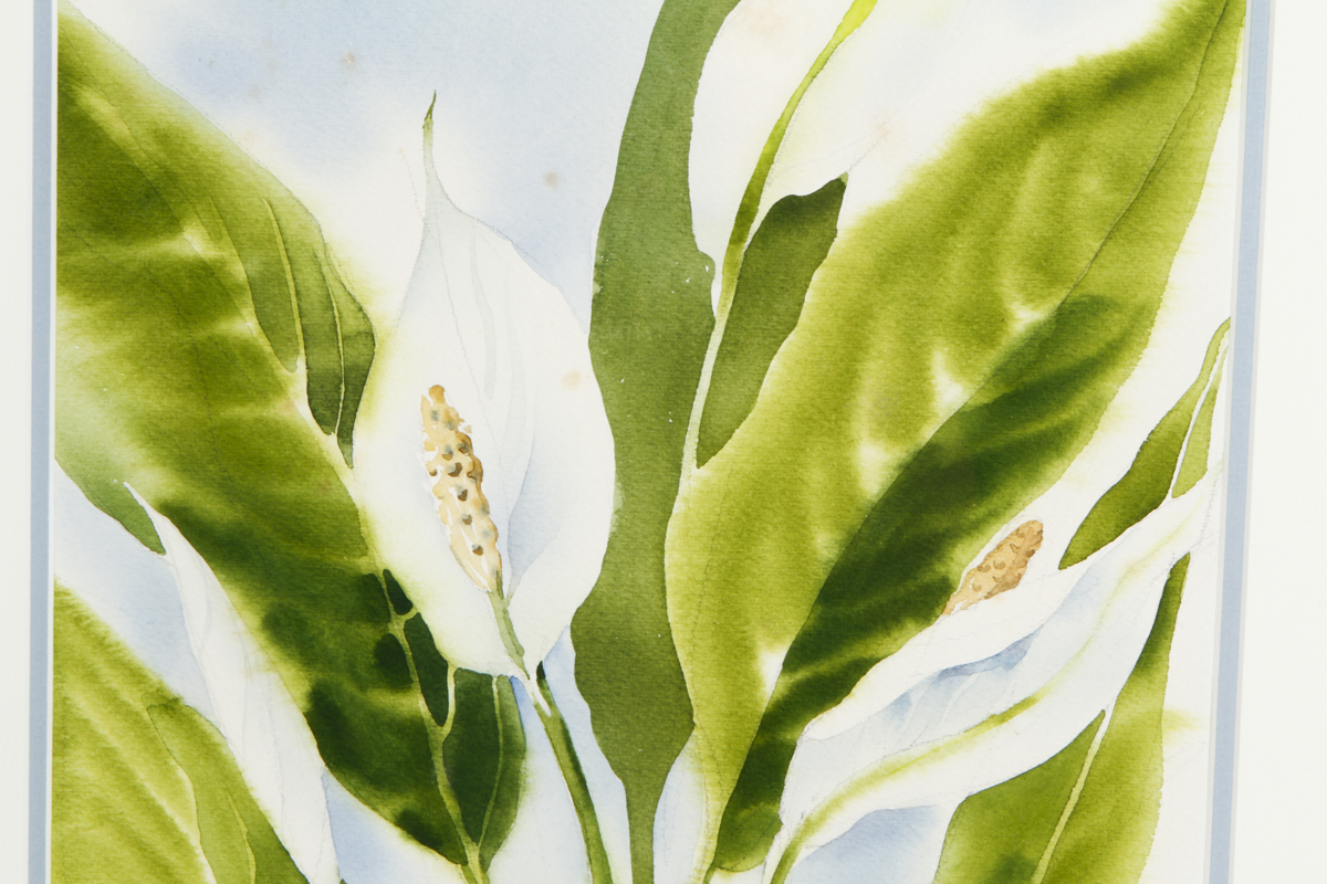 Dorothy Kennedy Watercolor Painting on Paper