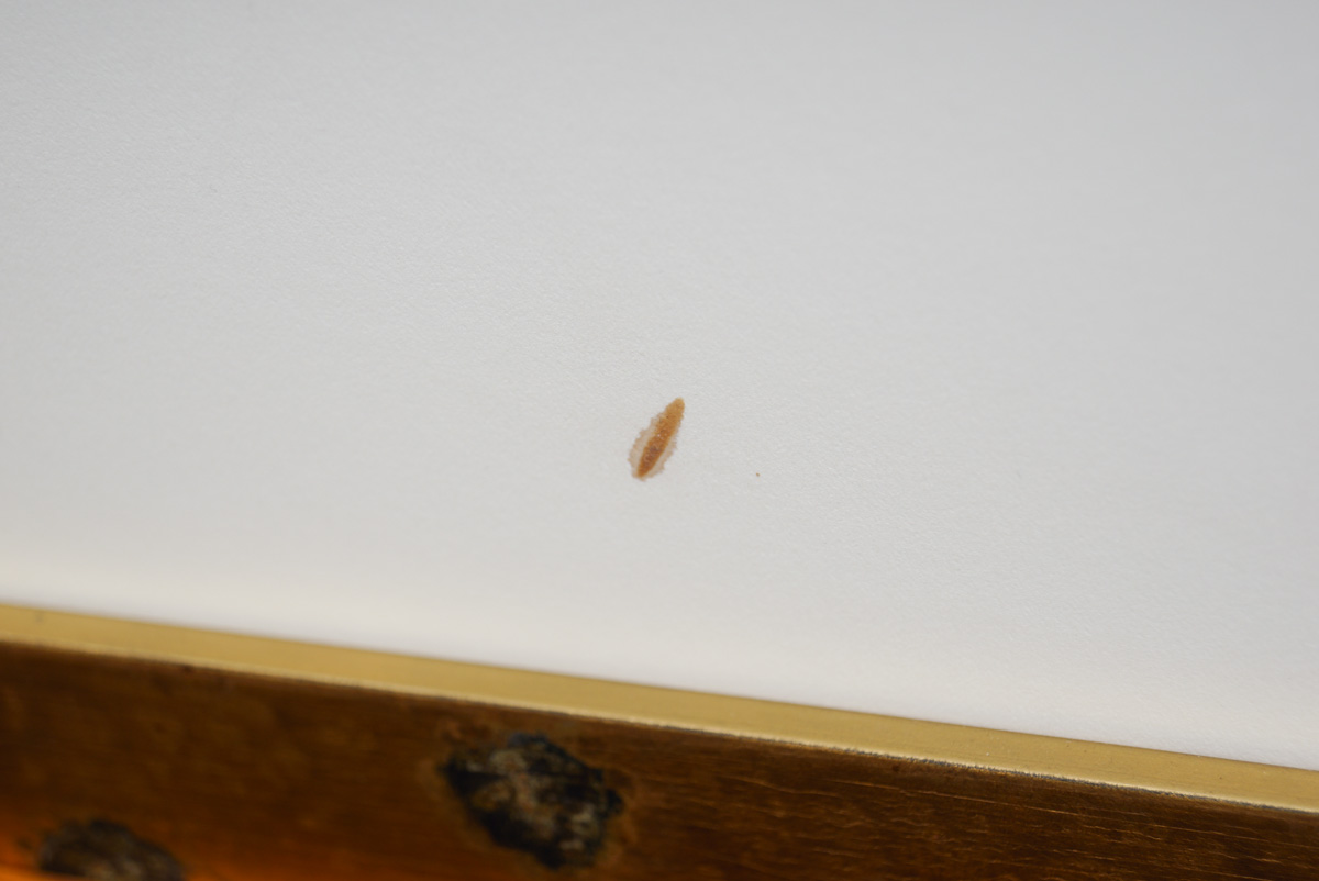 Reproduction Poster for the "Wizard of Oz"