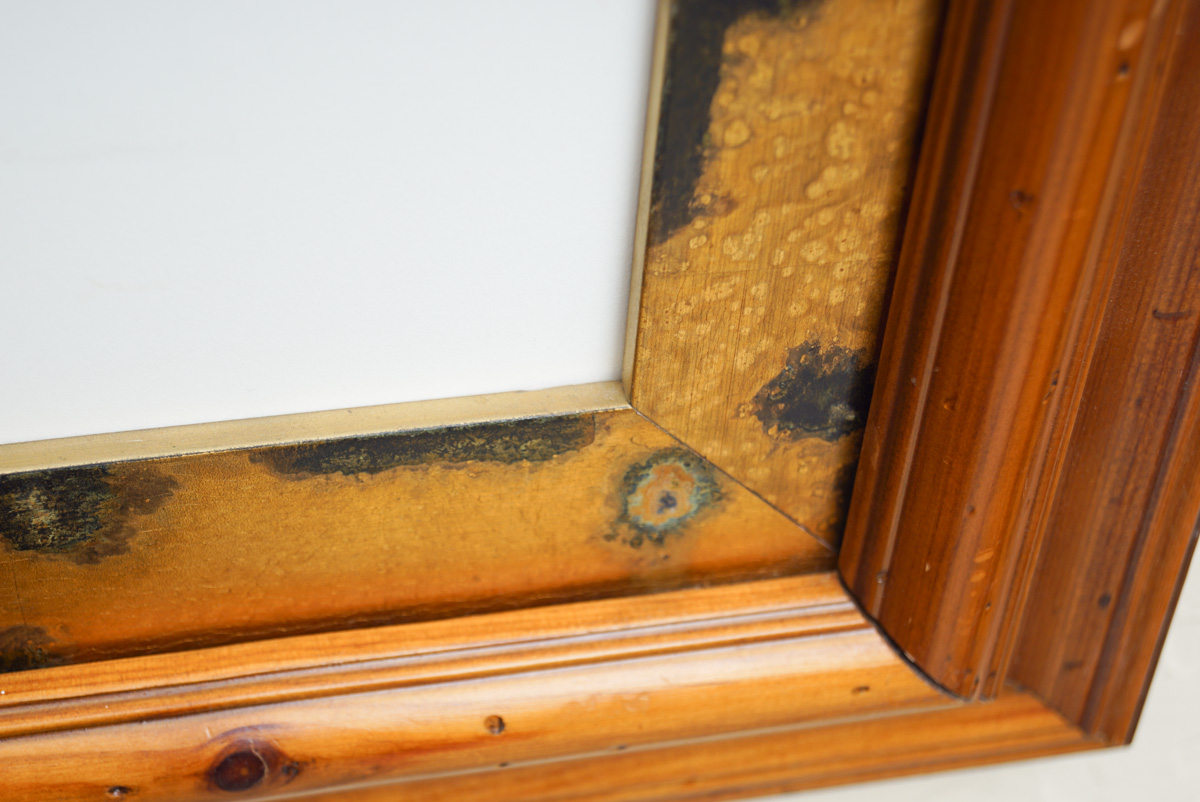 Reproduction Poster for the "Wizard of Oz"