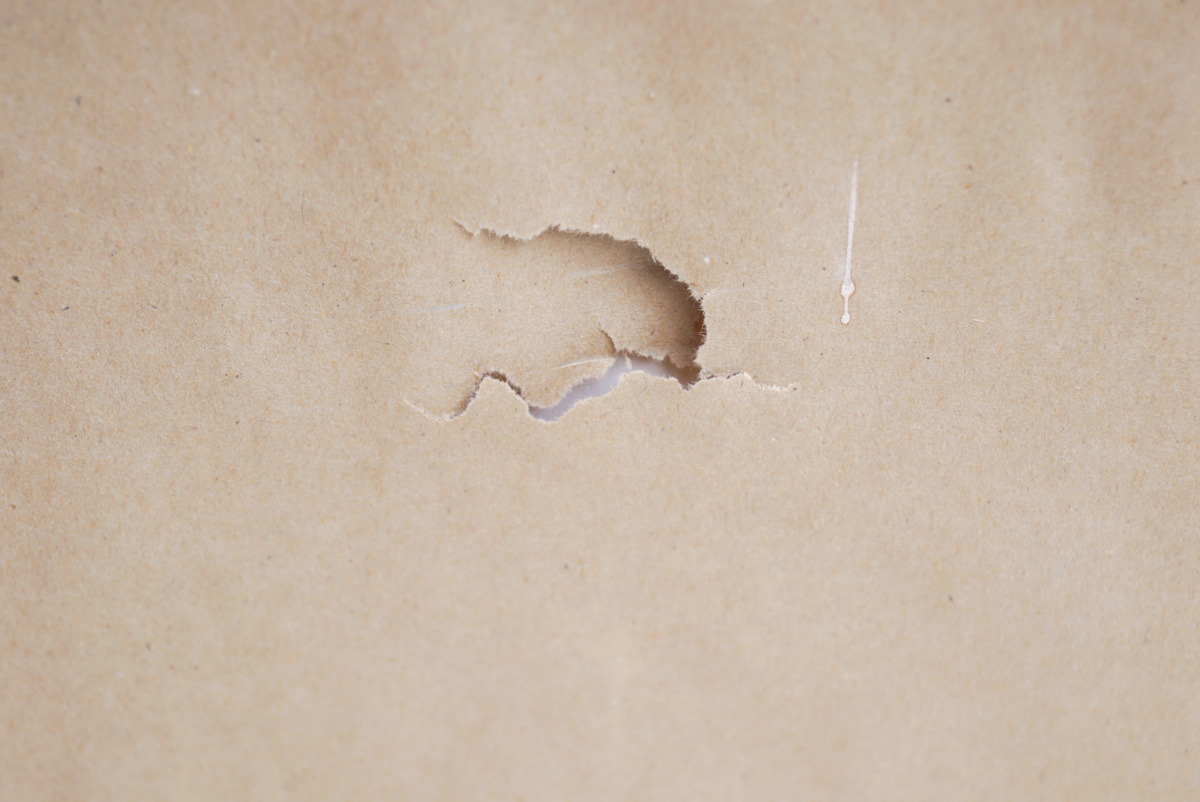 Reproduction Poster for the "Wizard of Oz"