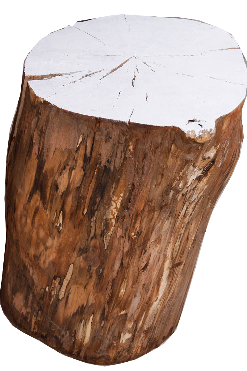 Decorative Log Pedestals