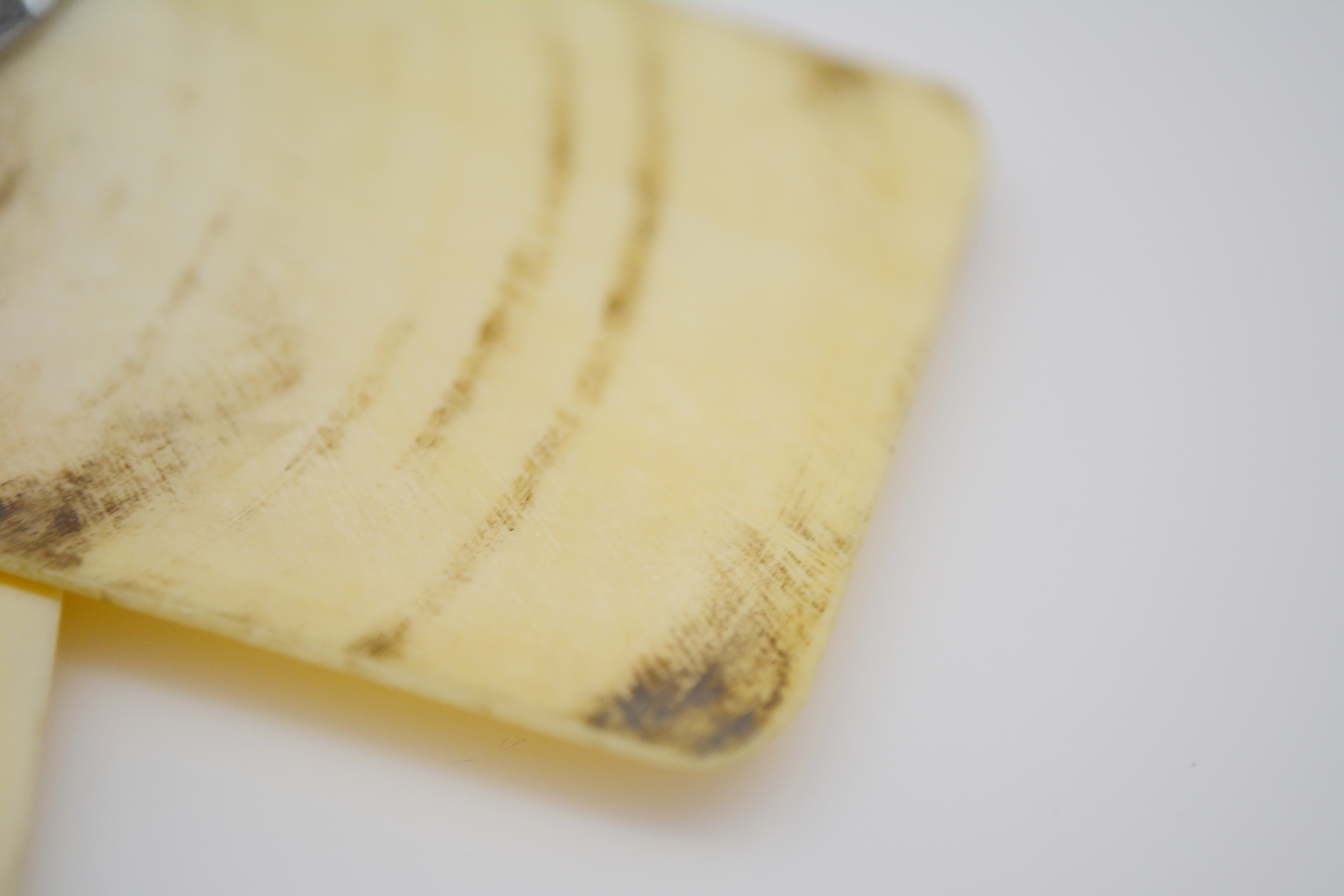 Antique Sterling Silver and Celluloid Chatelaine Dance Card Book