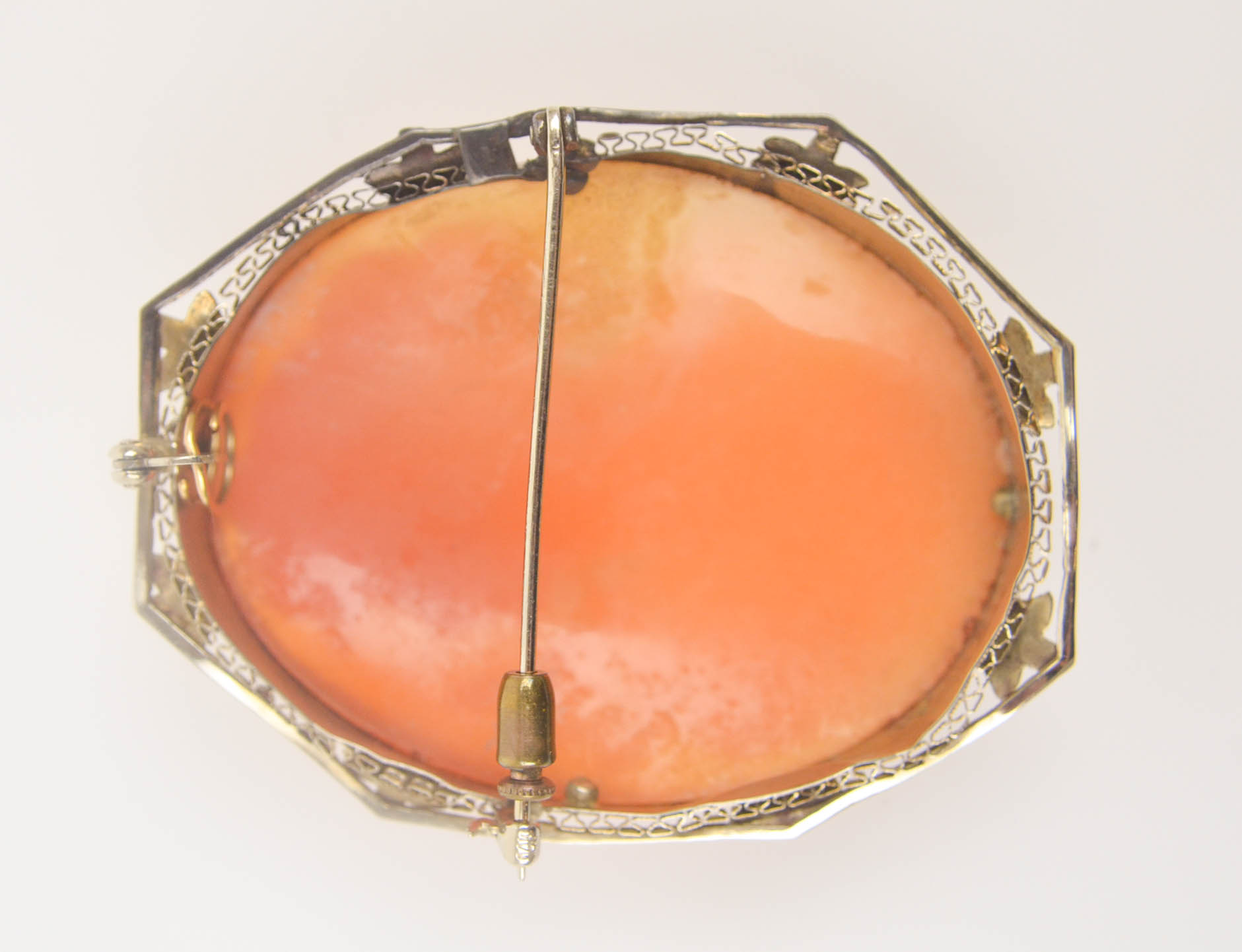 Carved Shell Cameo with 14 K Convertible Pin and Pendant