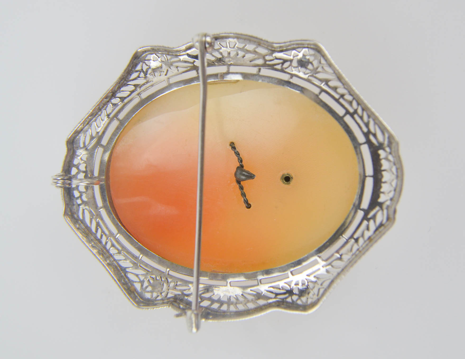 14K White Gold Diamond Cameo Pendant Brooch