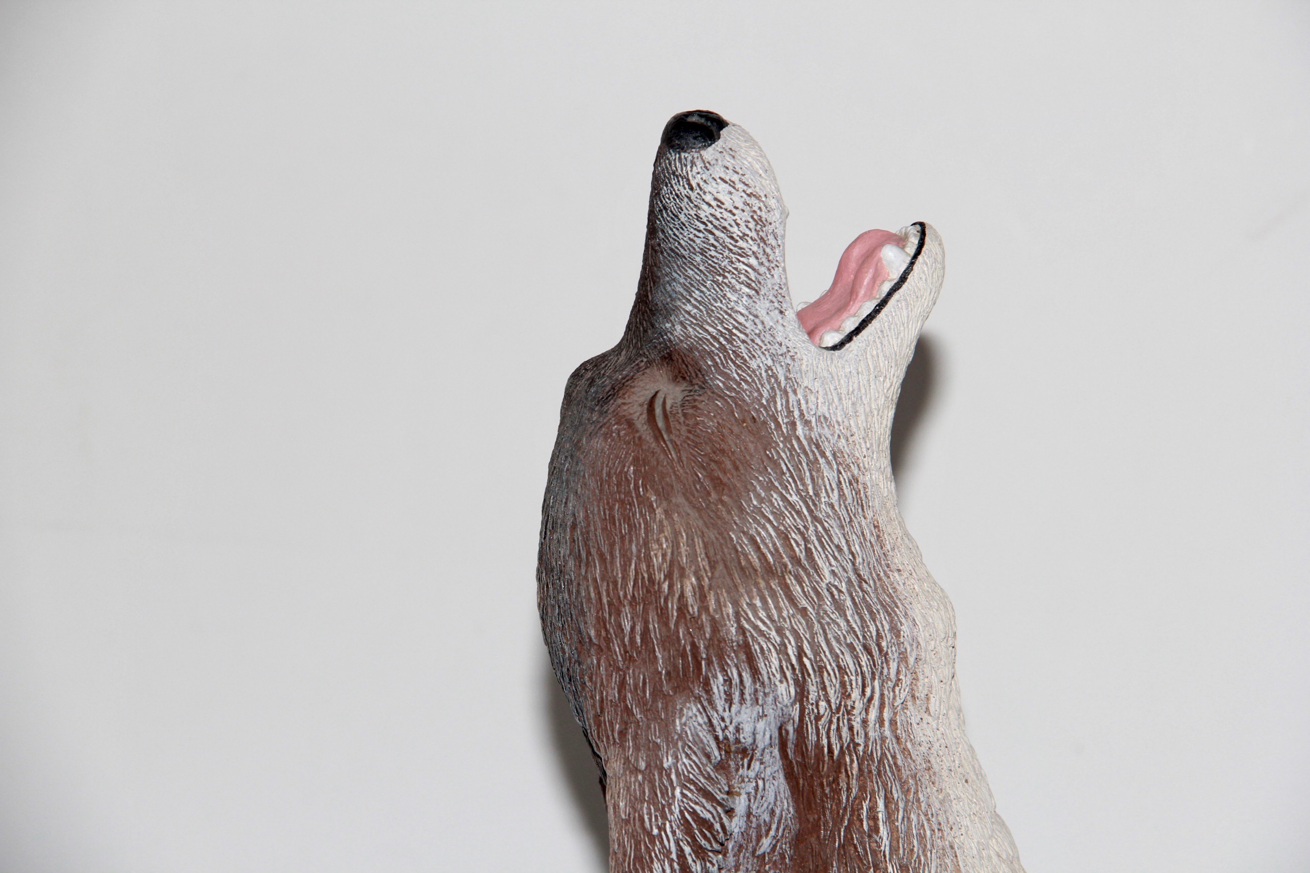 Coyote Sculpture by Lynn Bigelow