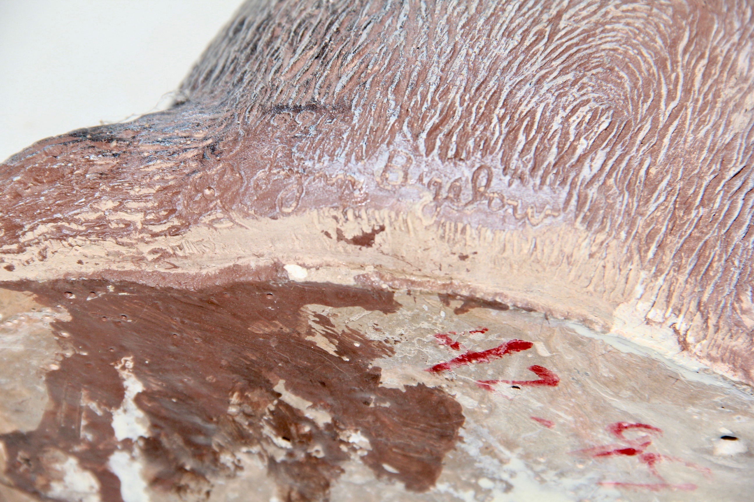 Coyote Sculpture by Lynn Bigelow