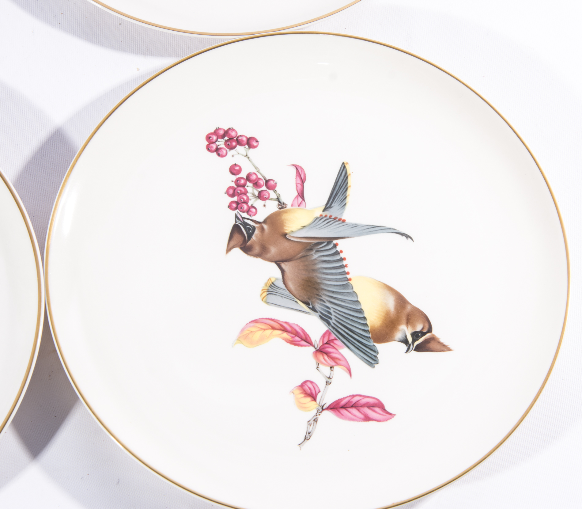 Syracuse China "American Song Birds" Plates