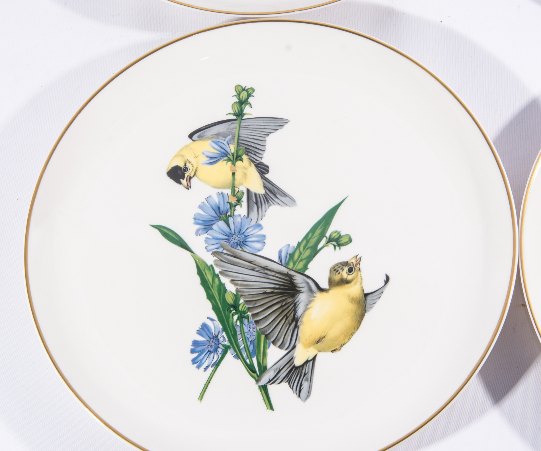 Syracuse China "American Song Birds" Plates