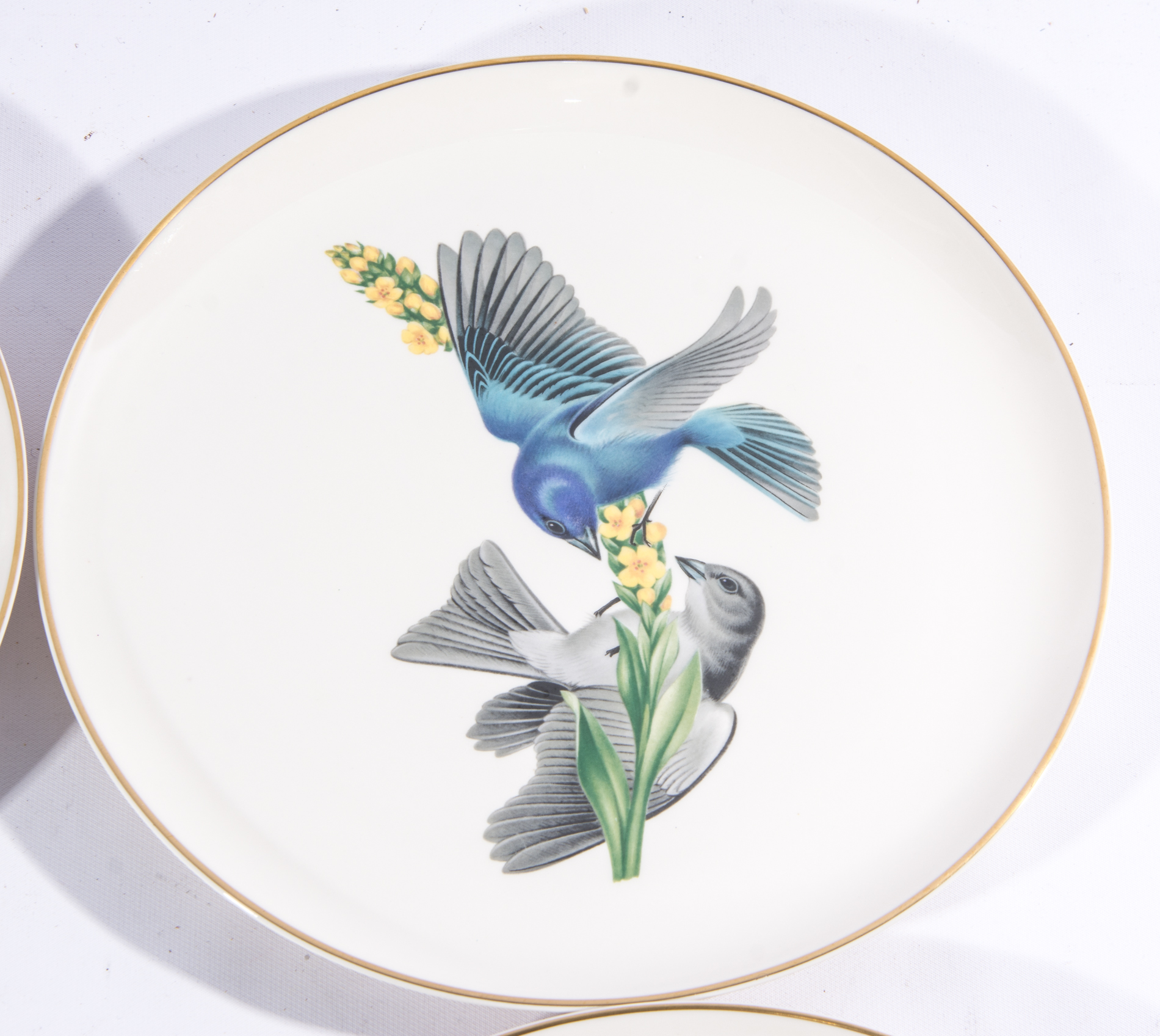 Syracuse China "American Song Birds" Plates