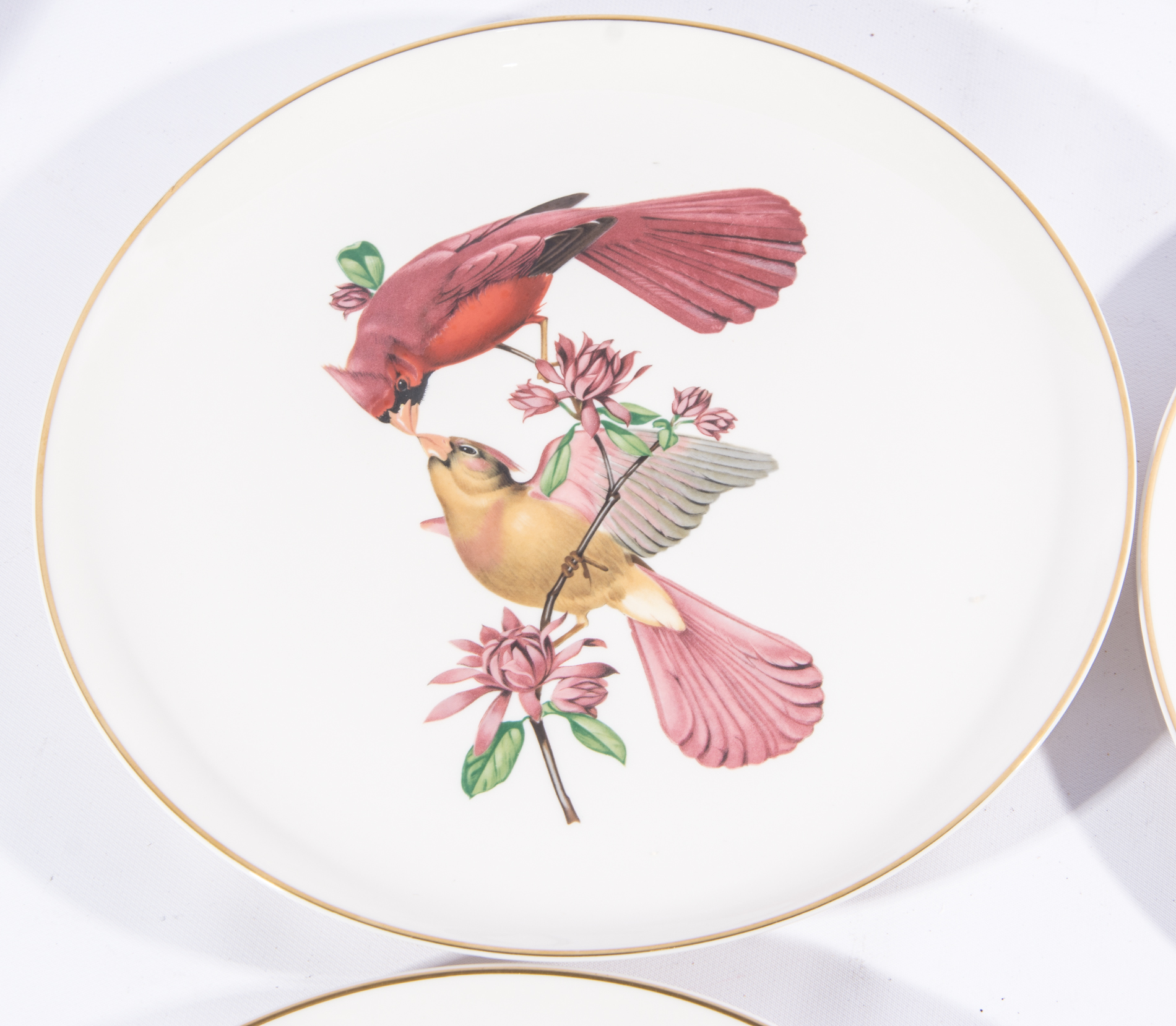 Syracuse China "American Song Birds" Plates