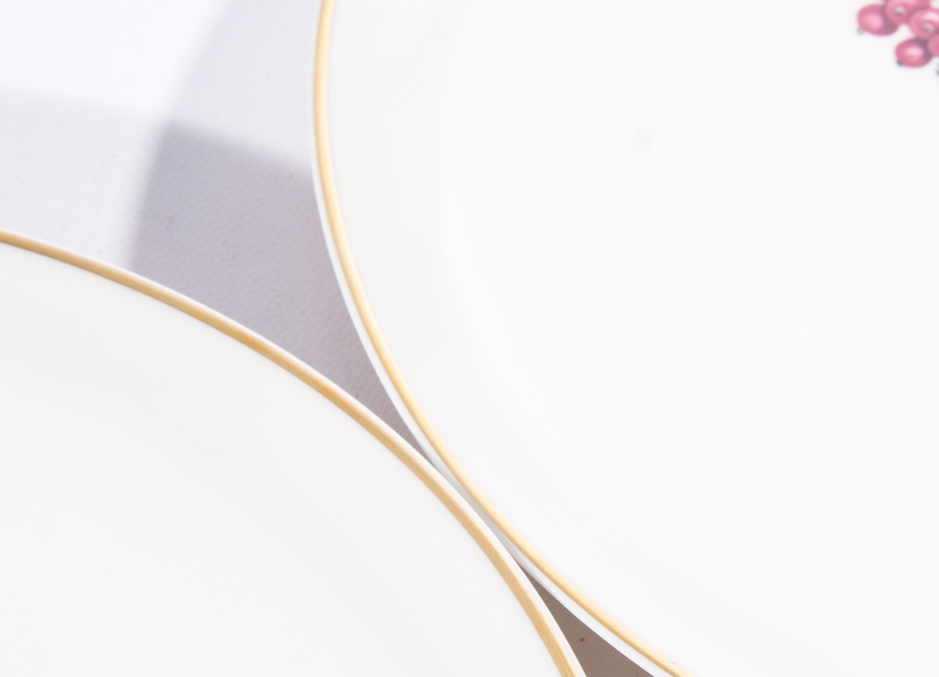 Syracuse China "American Song Birds" Plates