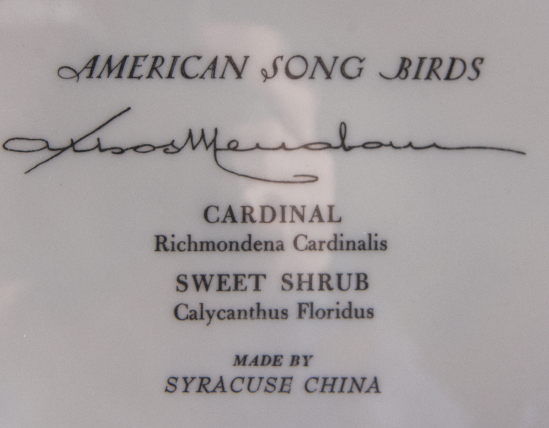Syracuse China "American Song Birds" Plates
