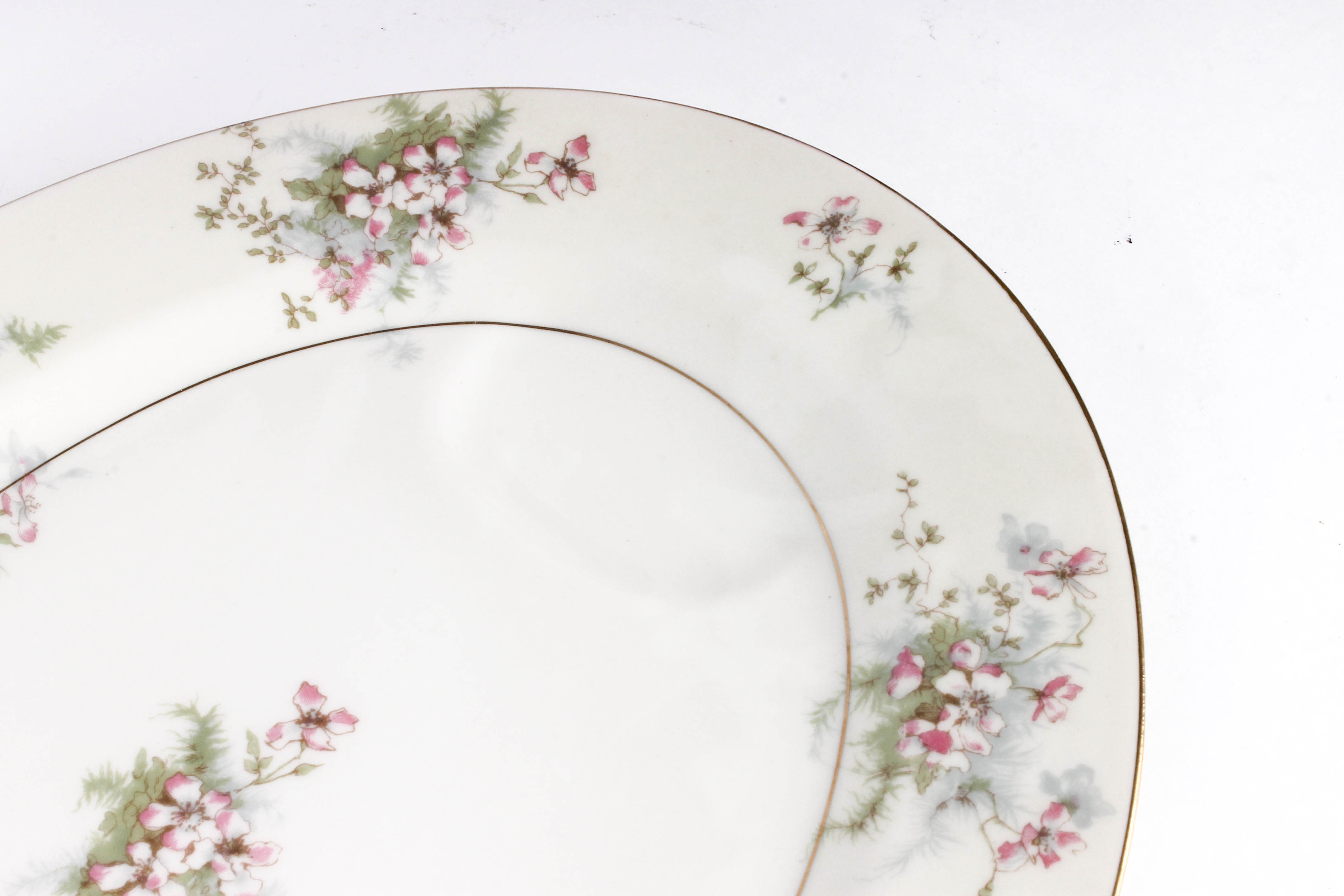 Theodore Haviland "Apple Blossom" China Set