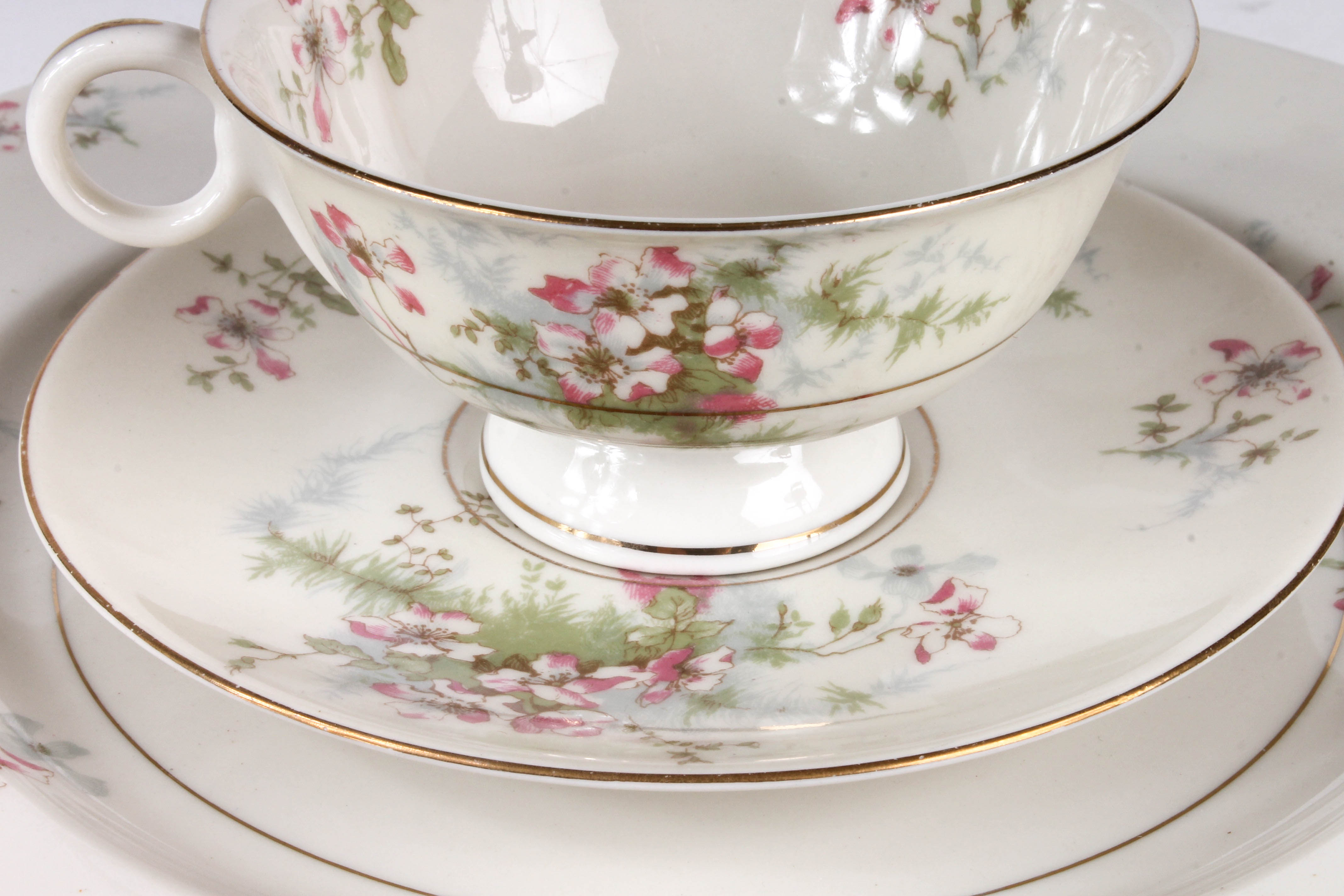 Theodore Haviland "Apple Blossom" China Set
