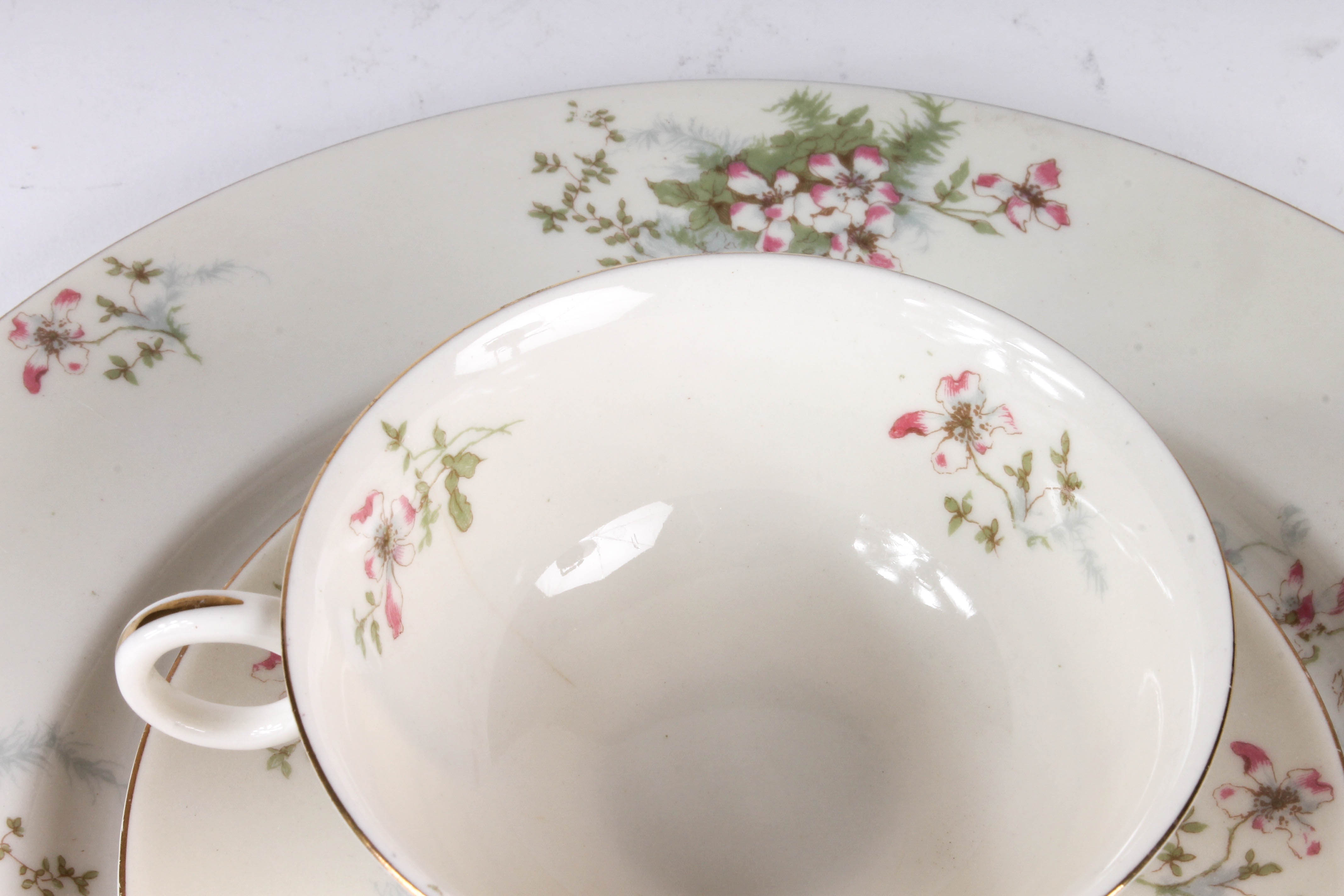Theodore Haviland "Apple Blossom" China Set