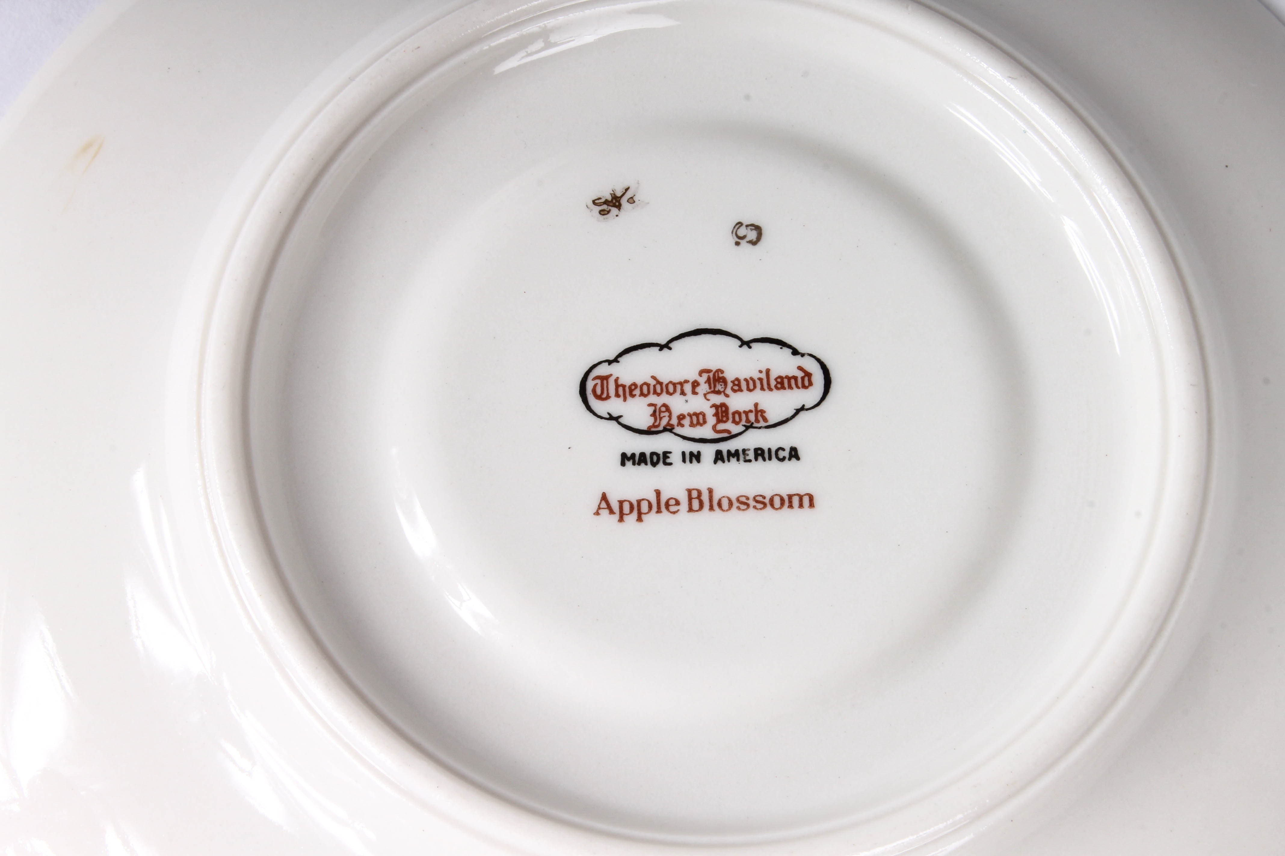 Theodore Haviland "Apple Blossom" China Set