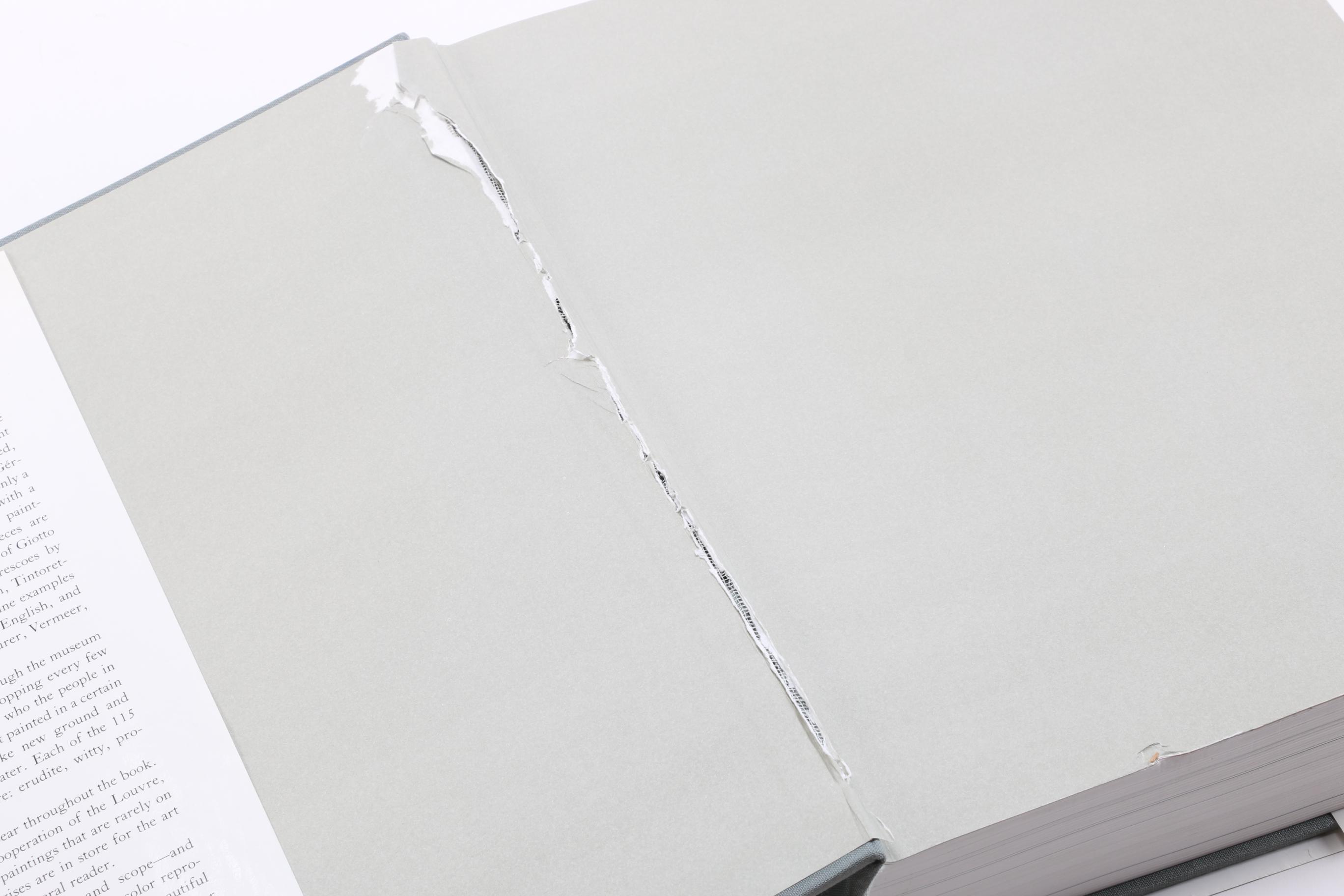 Pair of Art Books Titled "Musee D'orsay" and "Paintings of the Louvre"