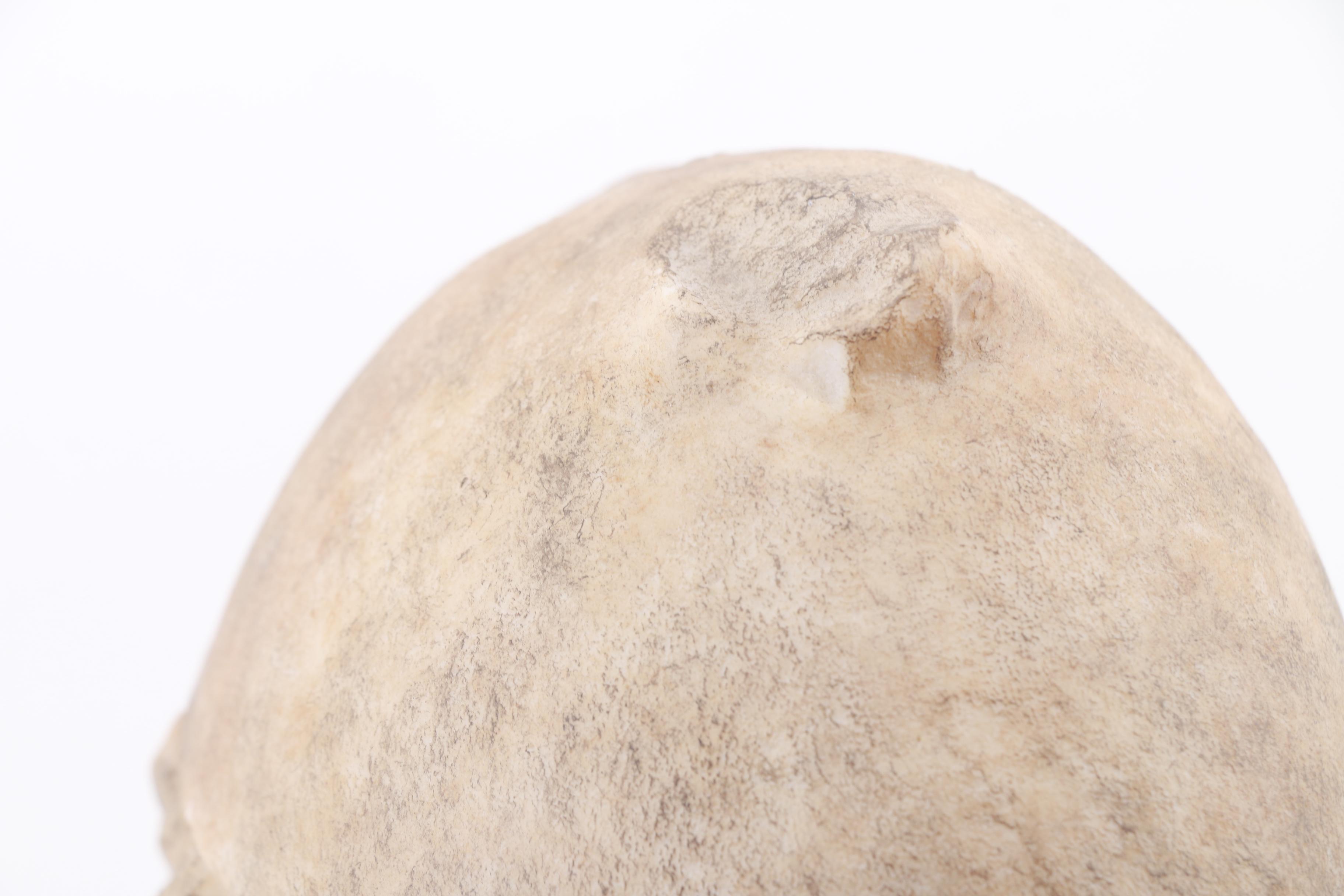 Replica Resin Headbust of Joseph with Stand