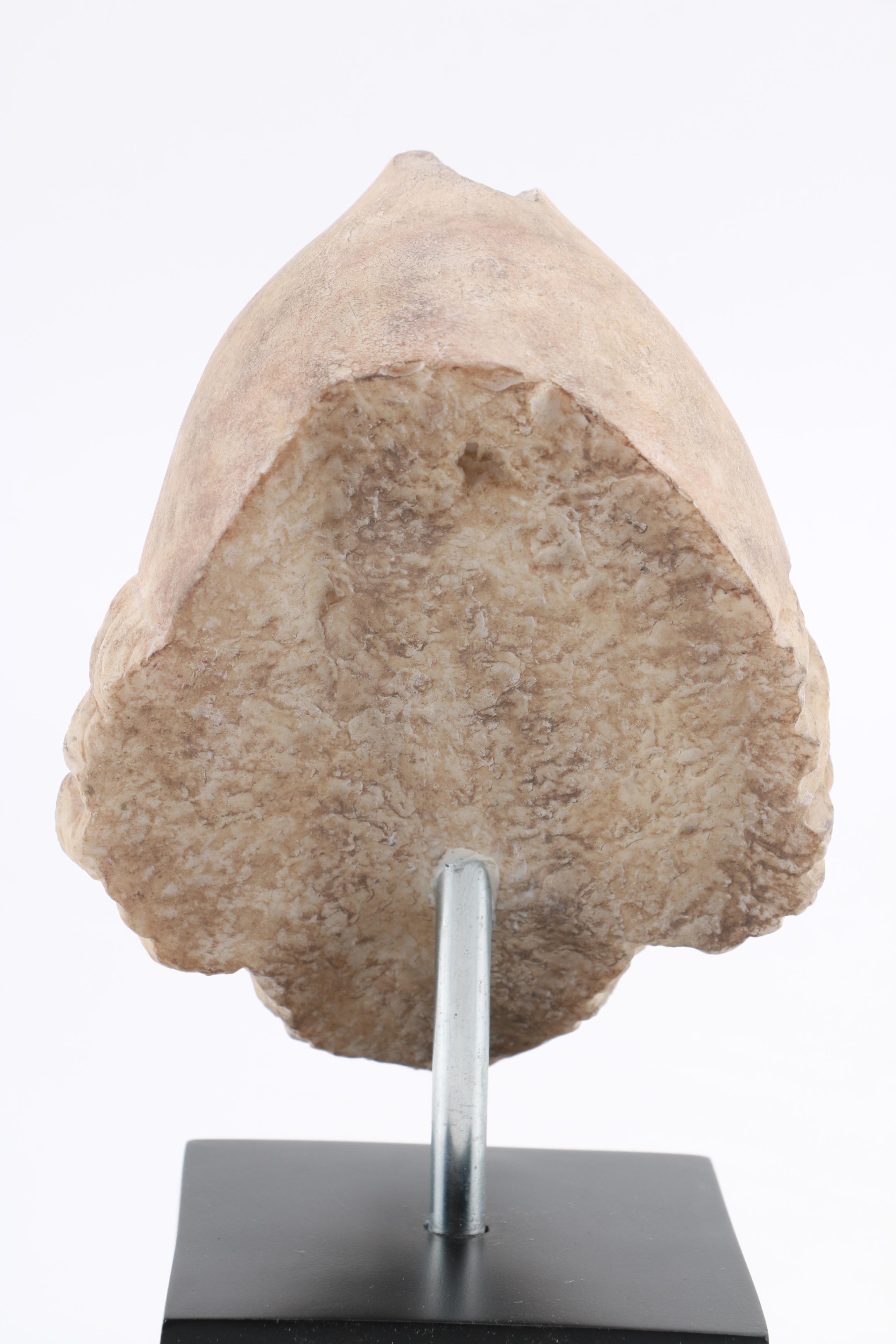 Replica Resin Headbust of Joseph with Stand