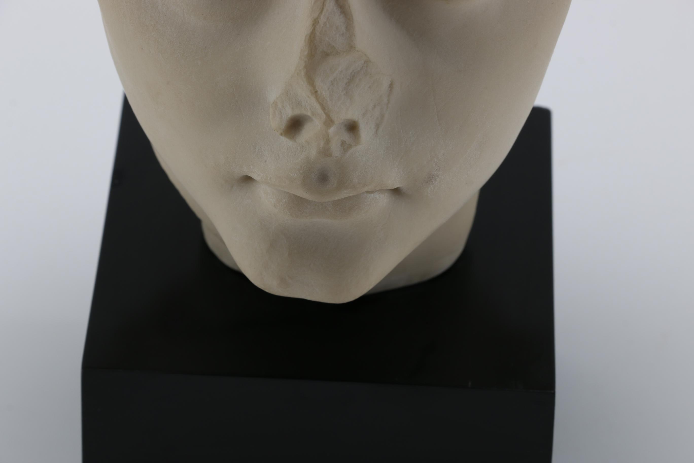 Reproduction Classical Bust of a Male
