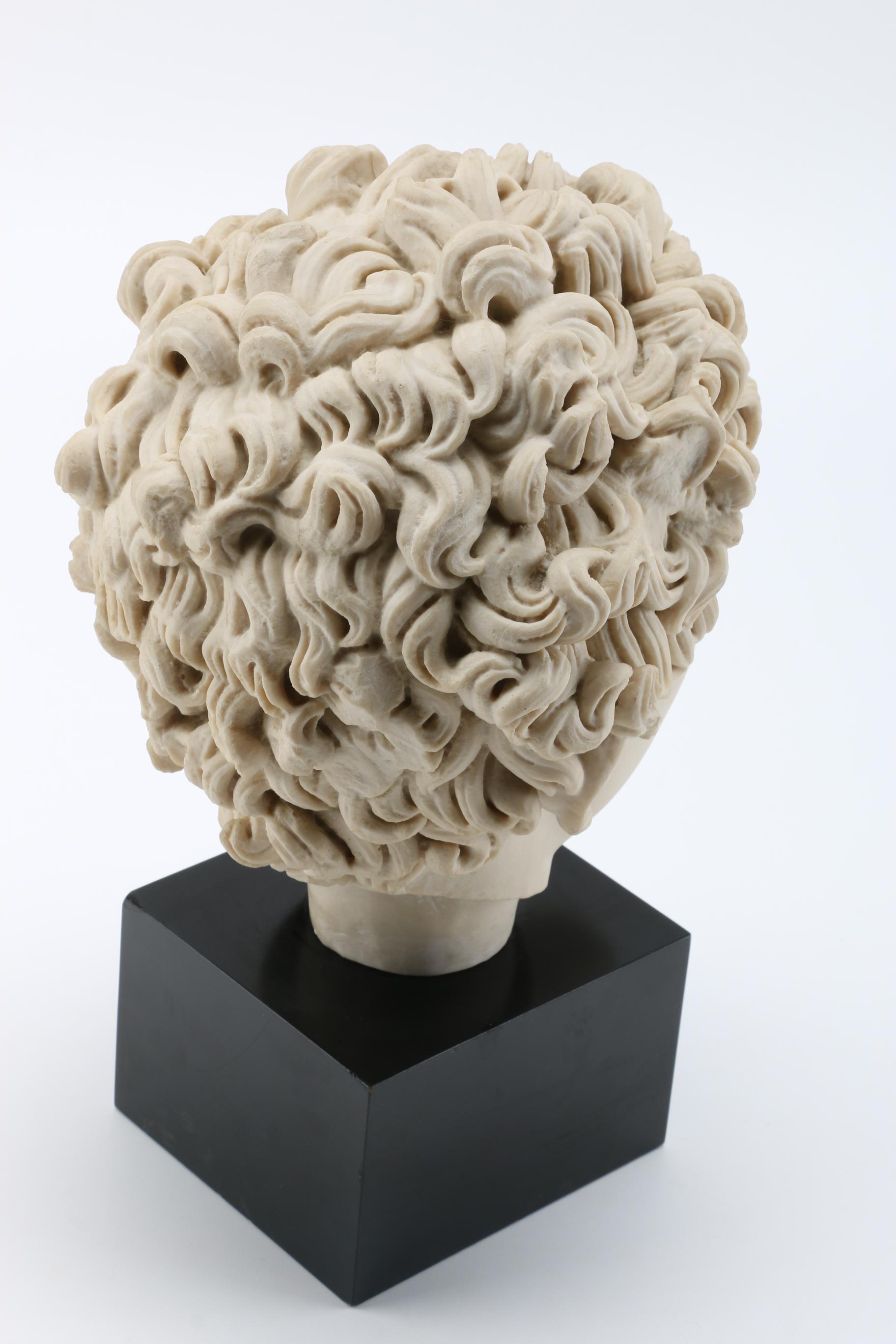 Reproduction Classical Bust of a Male