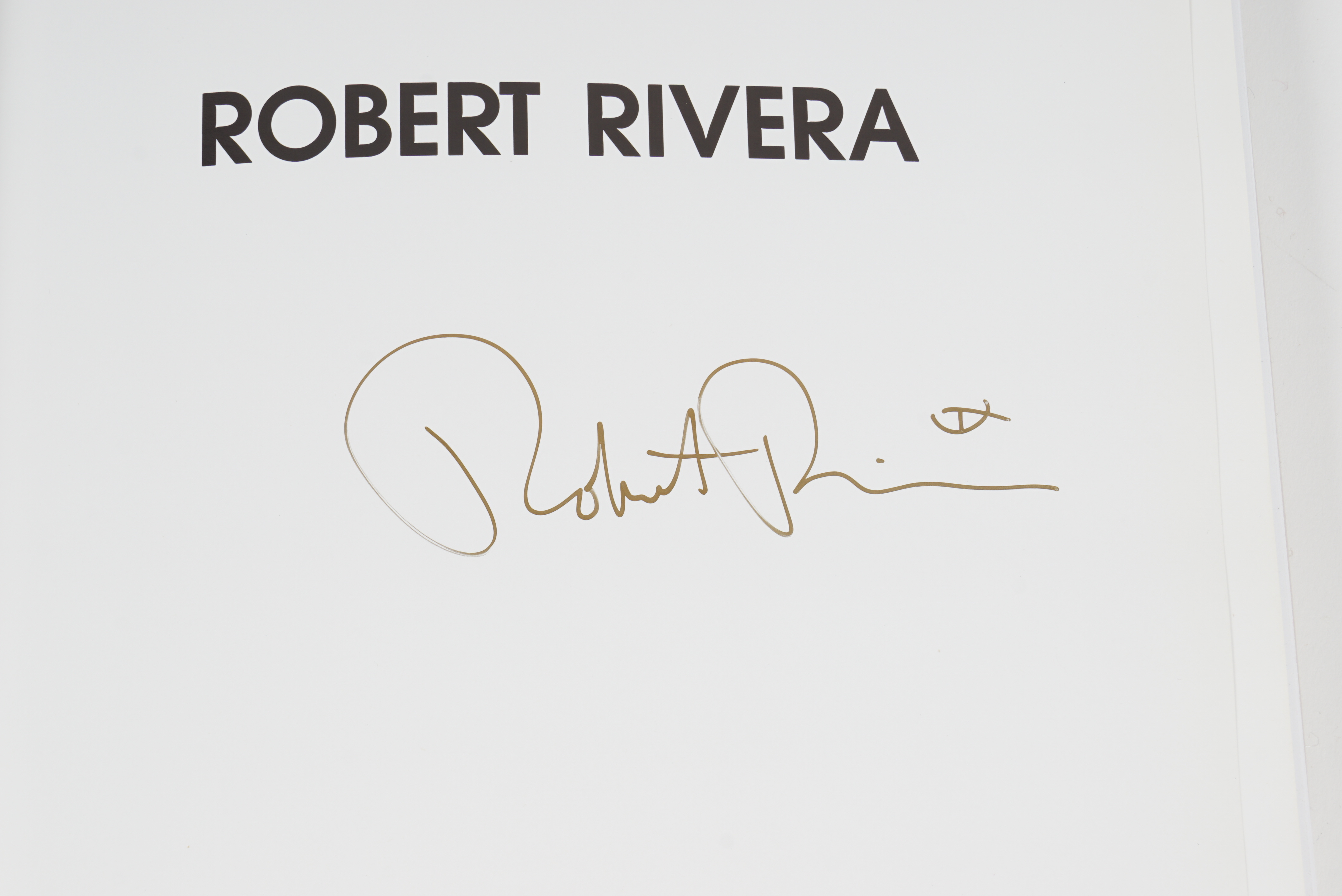 Robert Rivera Gourd Art and Books