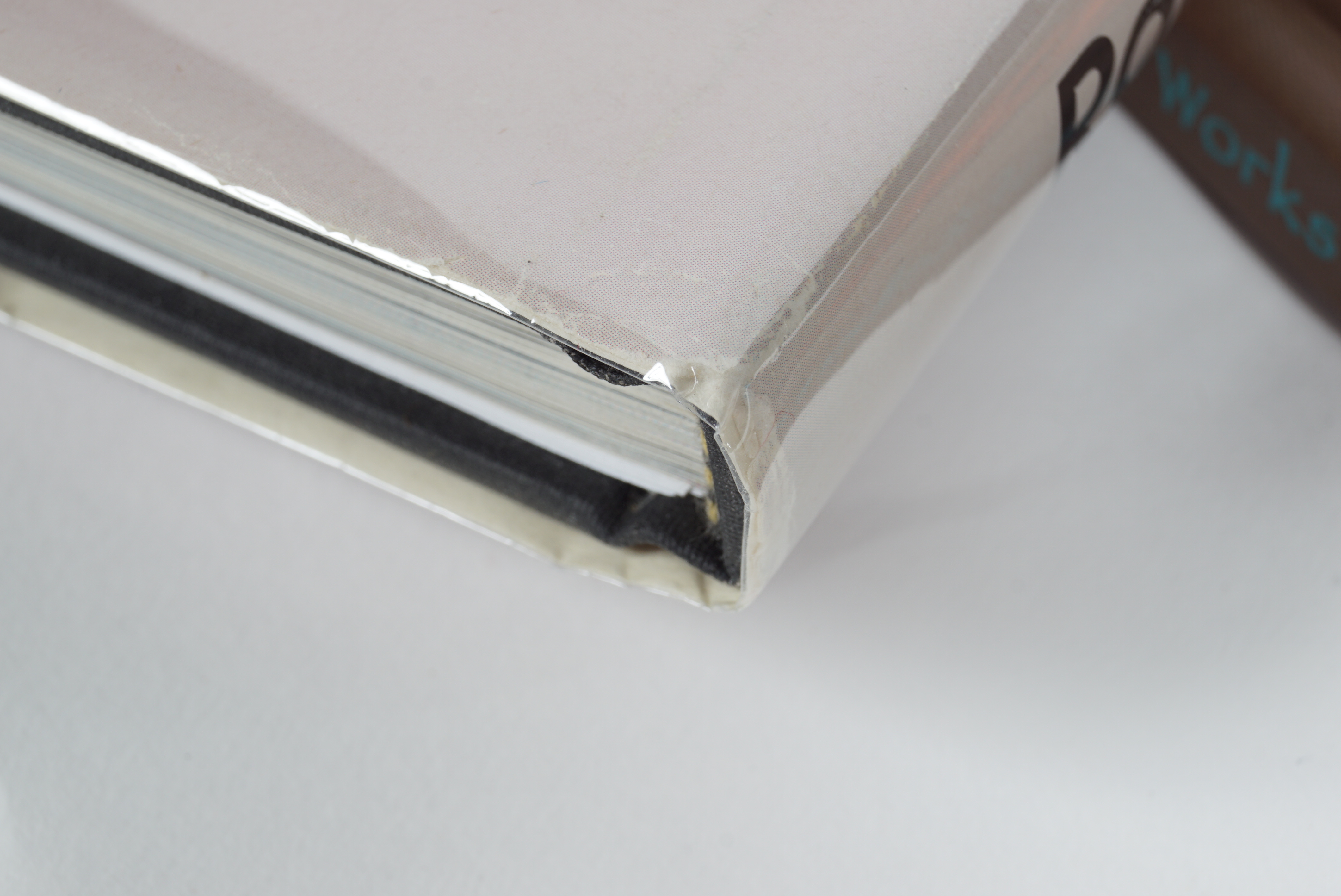 Robert Rivera Gourd Art and Books