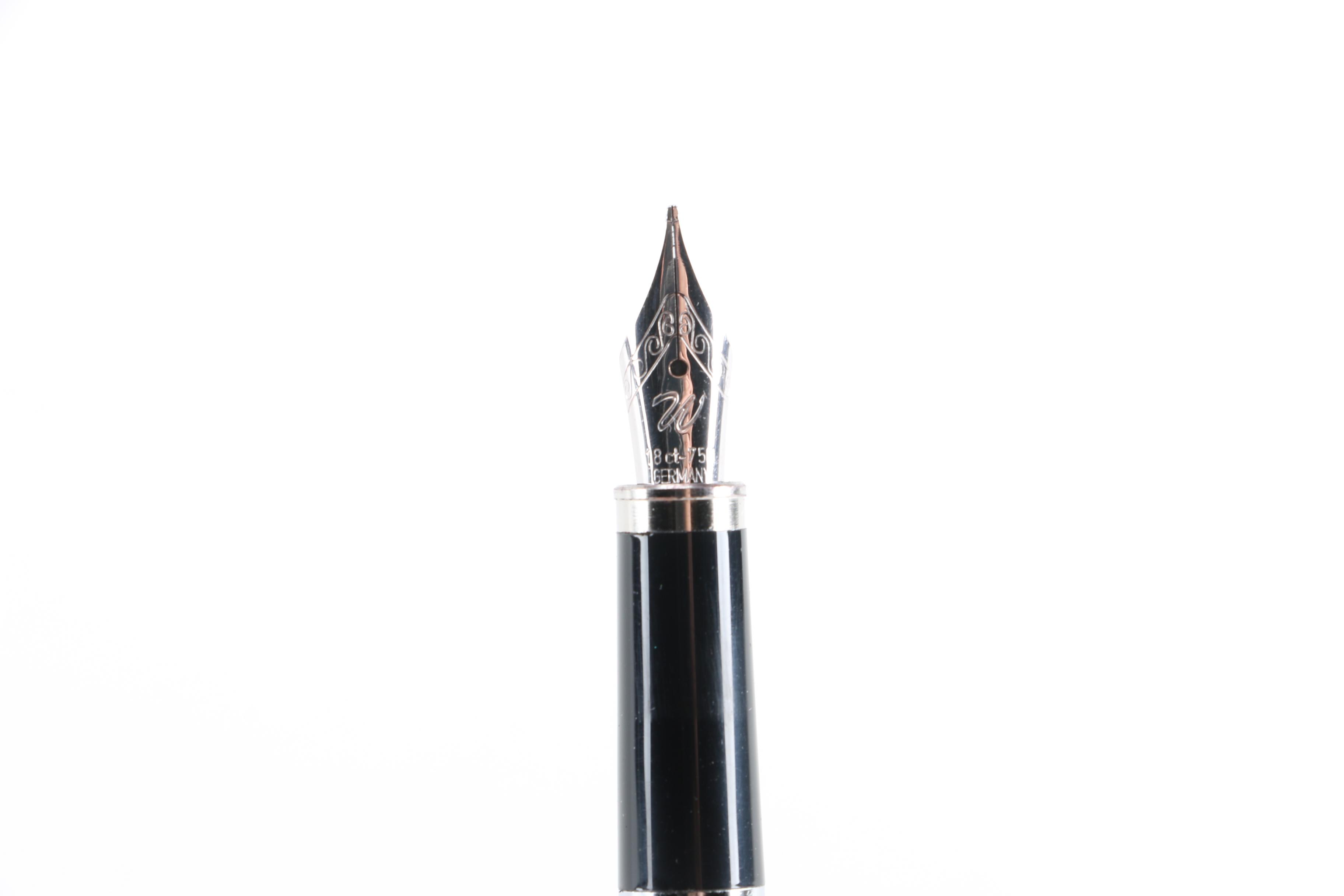 Assortment of Fountain Pens