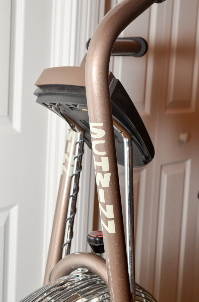 1988 Schwinn Airdyne Stationary Bike