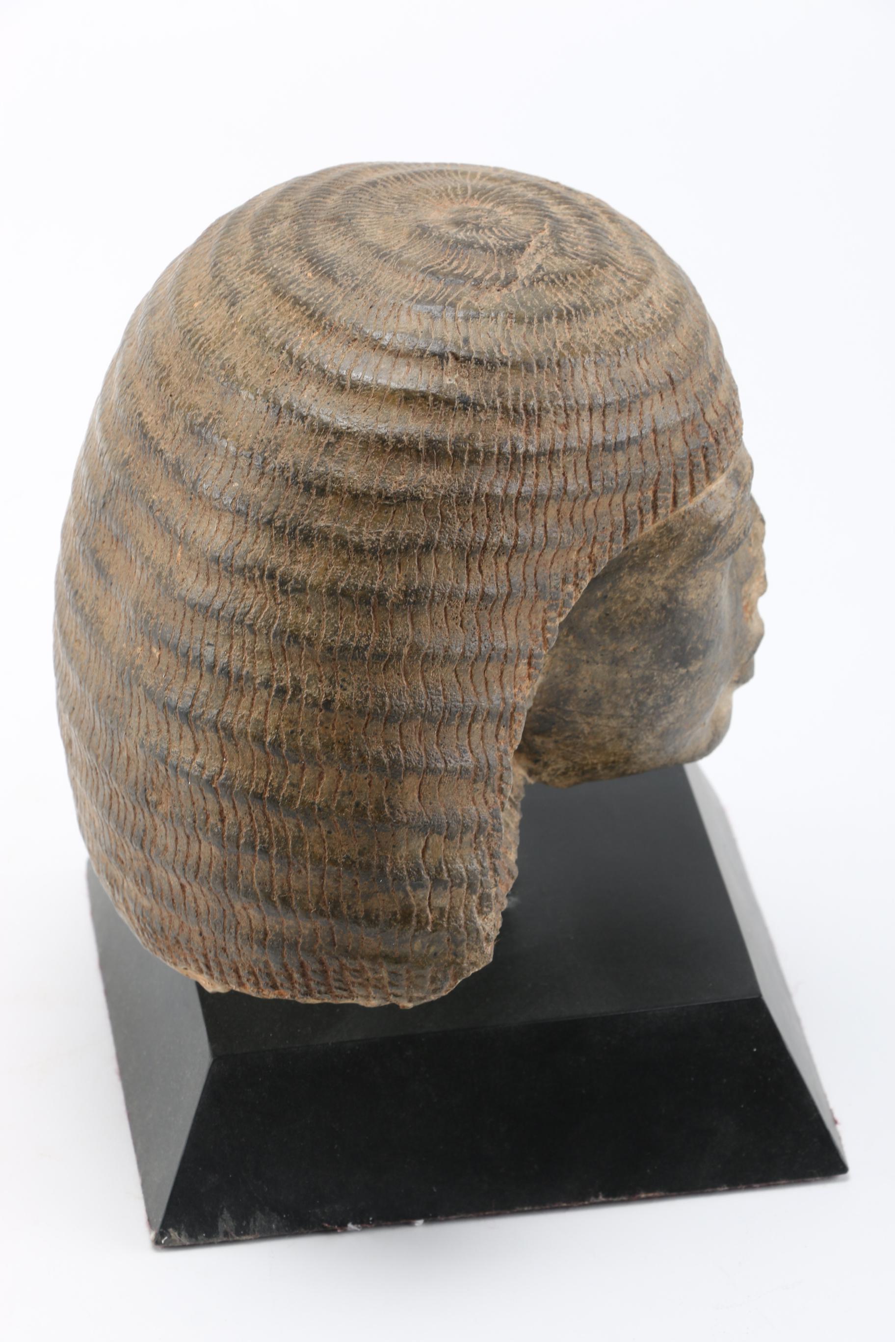 Museum Reproduction Egyptian Head Bust