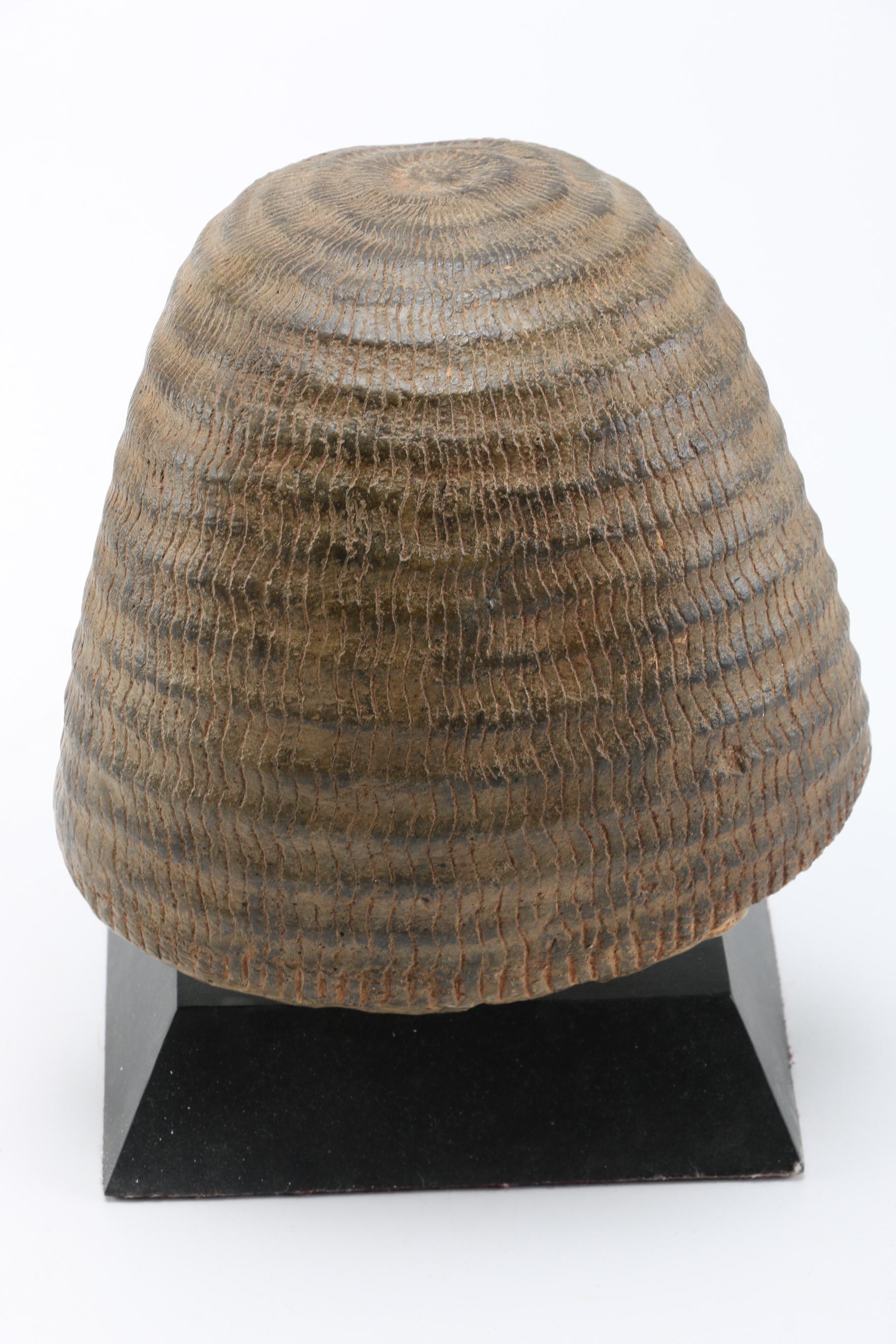 Museum Reproduction Egyptian Head Bust