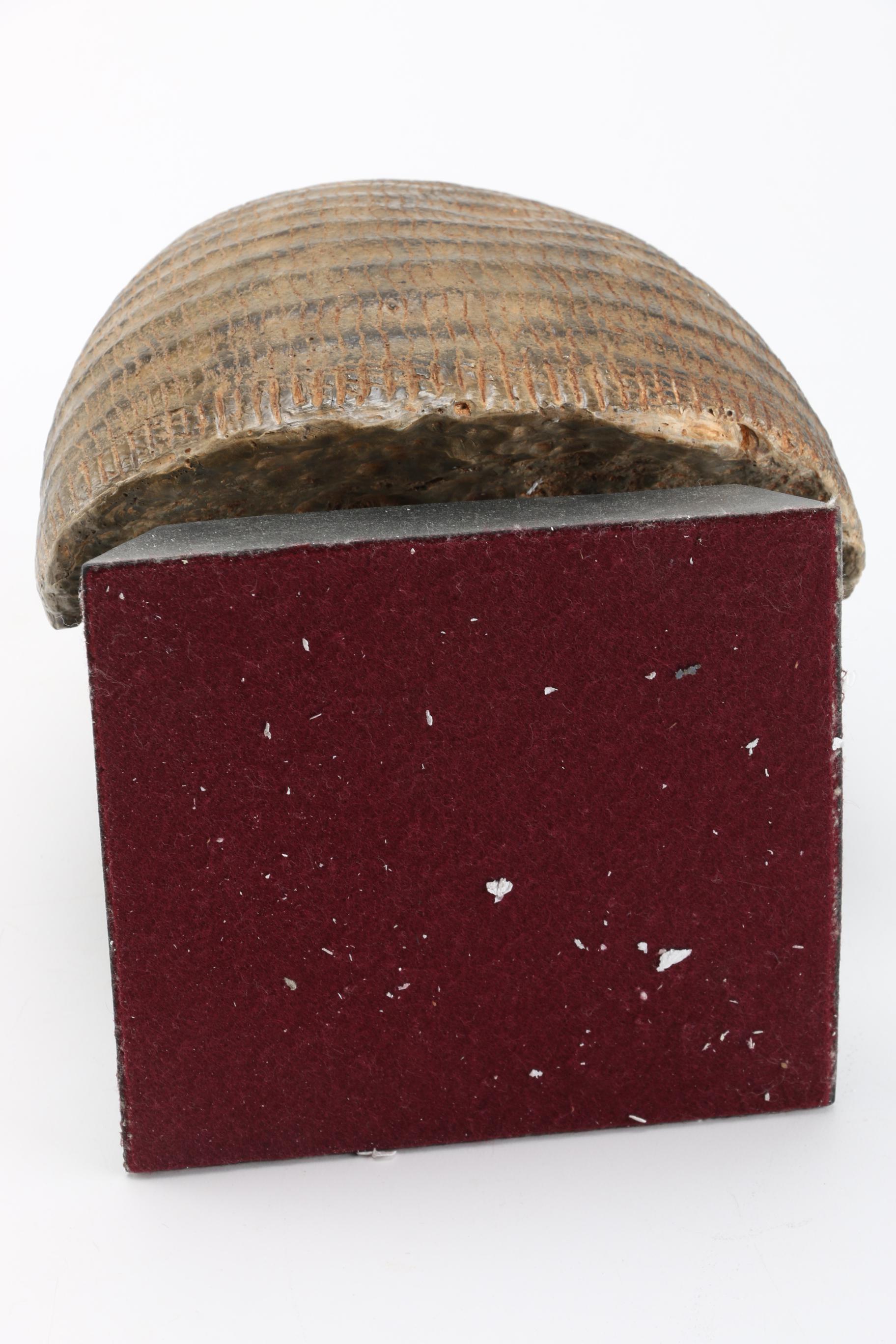 Museum Reproduction Egyptian Head Bust