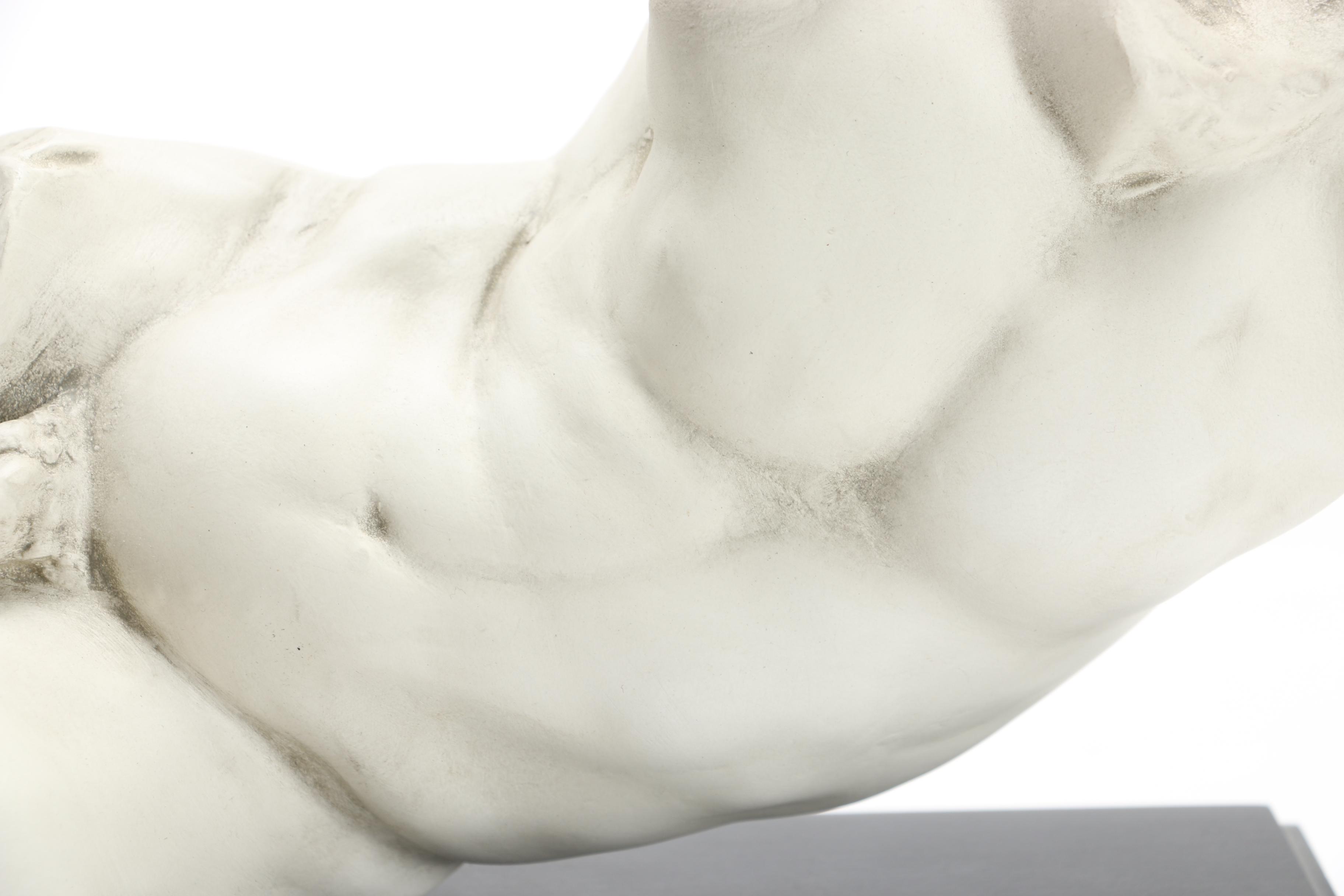 Replica Classical Torso Bust